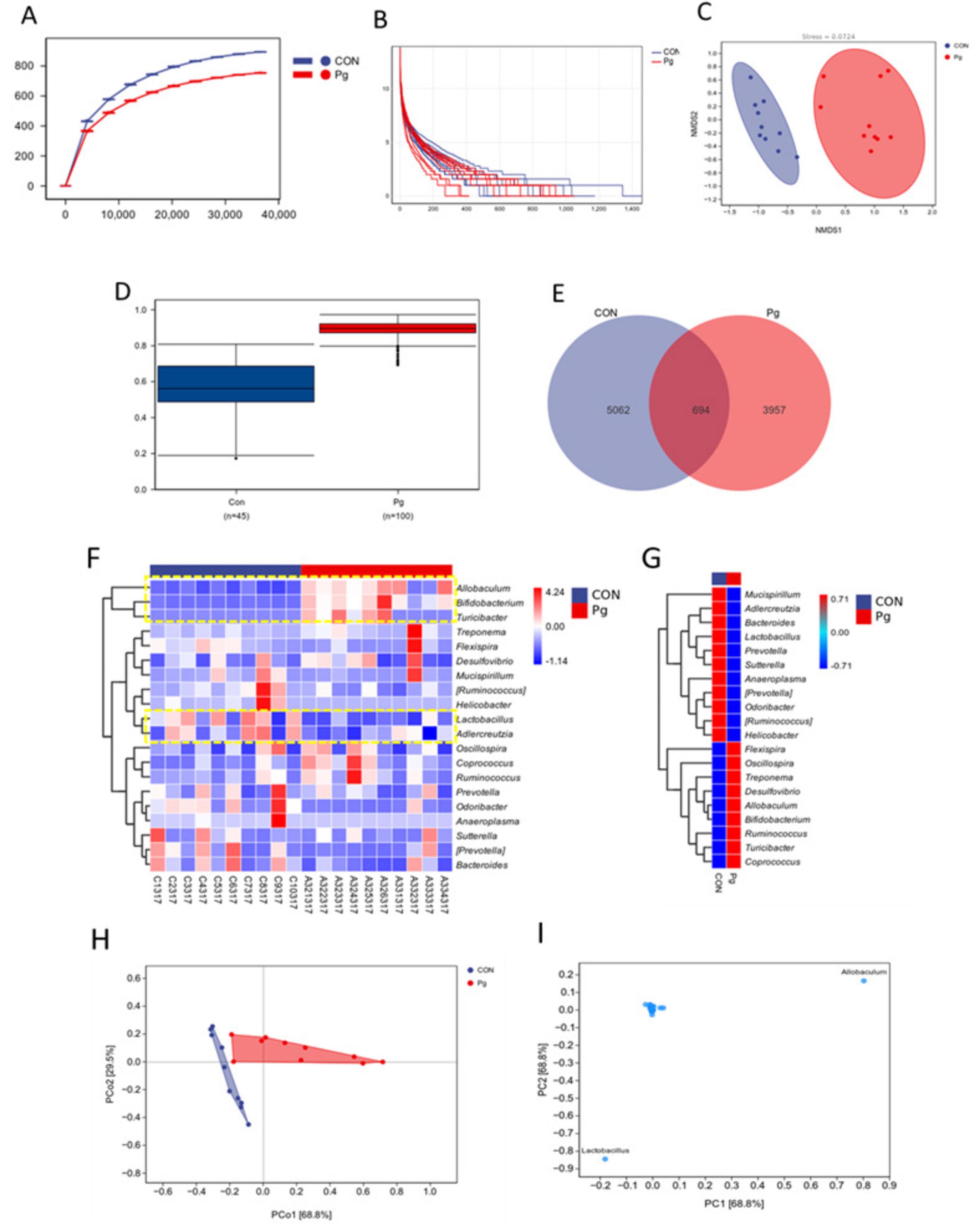 “Graphical analysis of microbial community data comparing two groups, CON and Pg. A: Line chart showing observed species over sequence counts. B: Bar plot depicting species abundance distribution. C: NMDS plot illustrating community differences. D: Box plot comparing diversity indices between groups. E: Venn diagram of shared and unique species. F: Heatmap displaying microbial taxa abundance. G: Cladogram showing hierarchical clustering of species. H: PCoA plot illustrating variance between groups. I: PCoA plot detailing particular species contributions.”