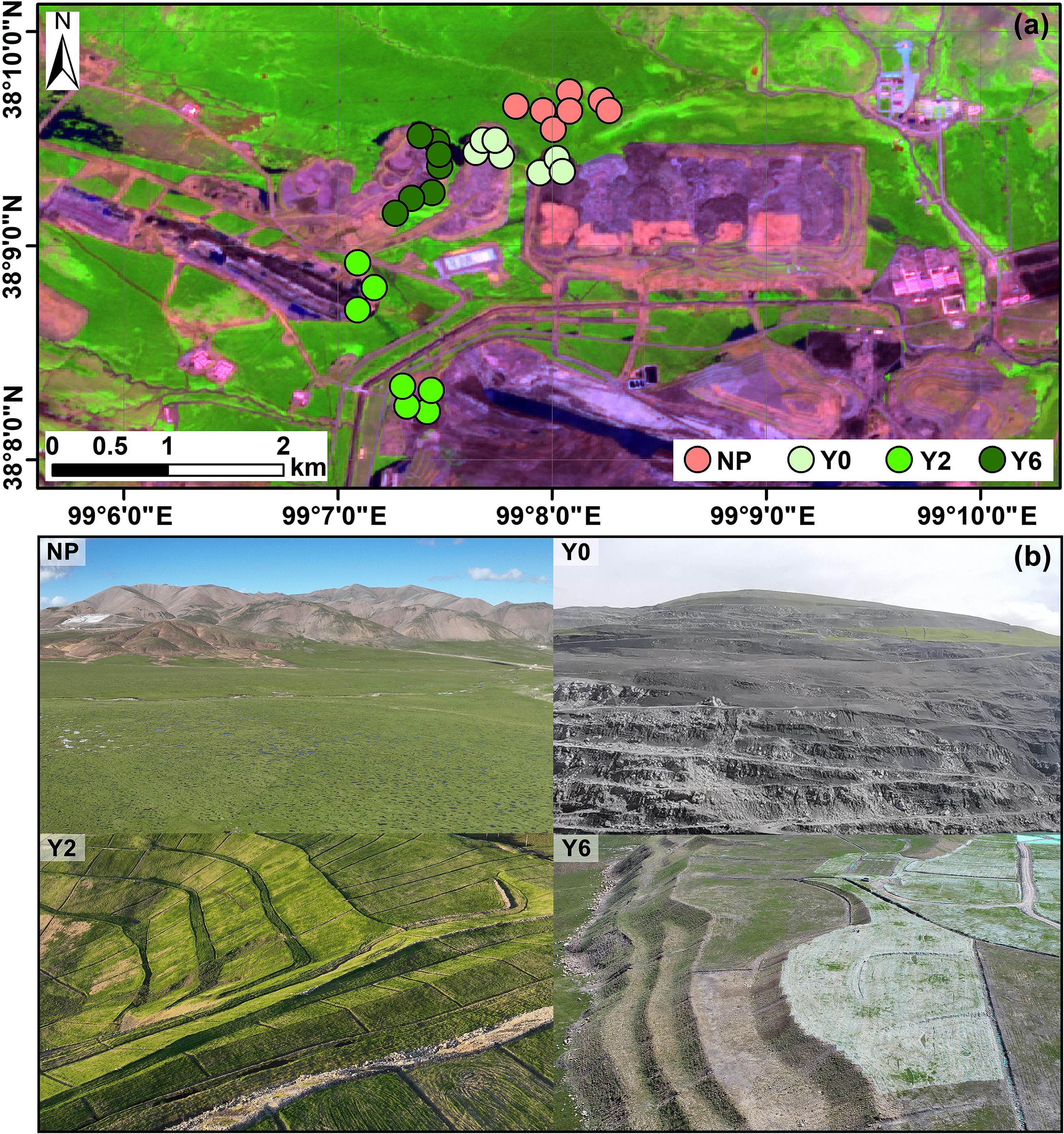 Composite image with satellite maps and landscape photos. Panel (a) shows a satellite map marked with colored circles at various coordinates, representing NP, Y0, Y2, and Y6 sites. Panel (b) includes four landscape photographs labeled NP, Y0, Y2, and Y6. NP shows grassy plains with mountains, Y0 shows rocky terrain, Y2 depicts terraced fields, and Y6 features a partially green and rocky landscape. A scale bar in panel (a) measures distances from 0 to 2 kilometers.