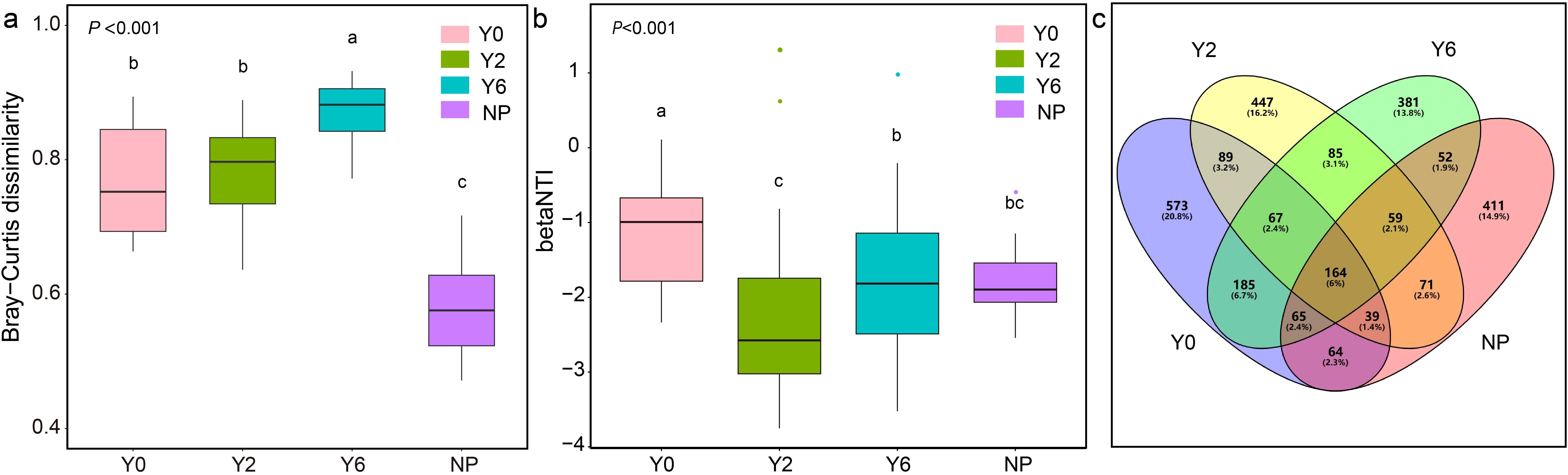 Box and whisker plots and a Venn diagram related to ecological data. Panel (a) shows Bray-Curtis dissimilarity across four groups (Y0, Y2, Y6, NP) with significant differences marked. Panel (b) displays betaNTI values for the same groups, highlighting differences. Panel (c) is a Venn diagram illustrating shared and unique elements among the groups, with specific numbers and percentages provided for each section.