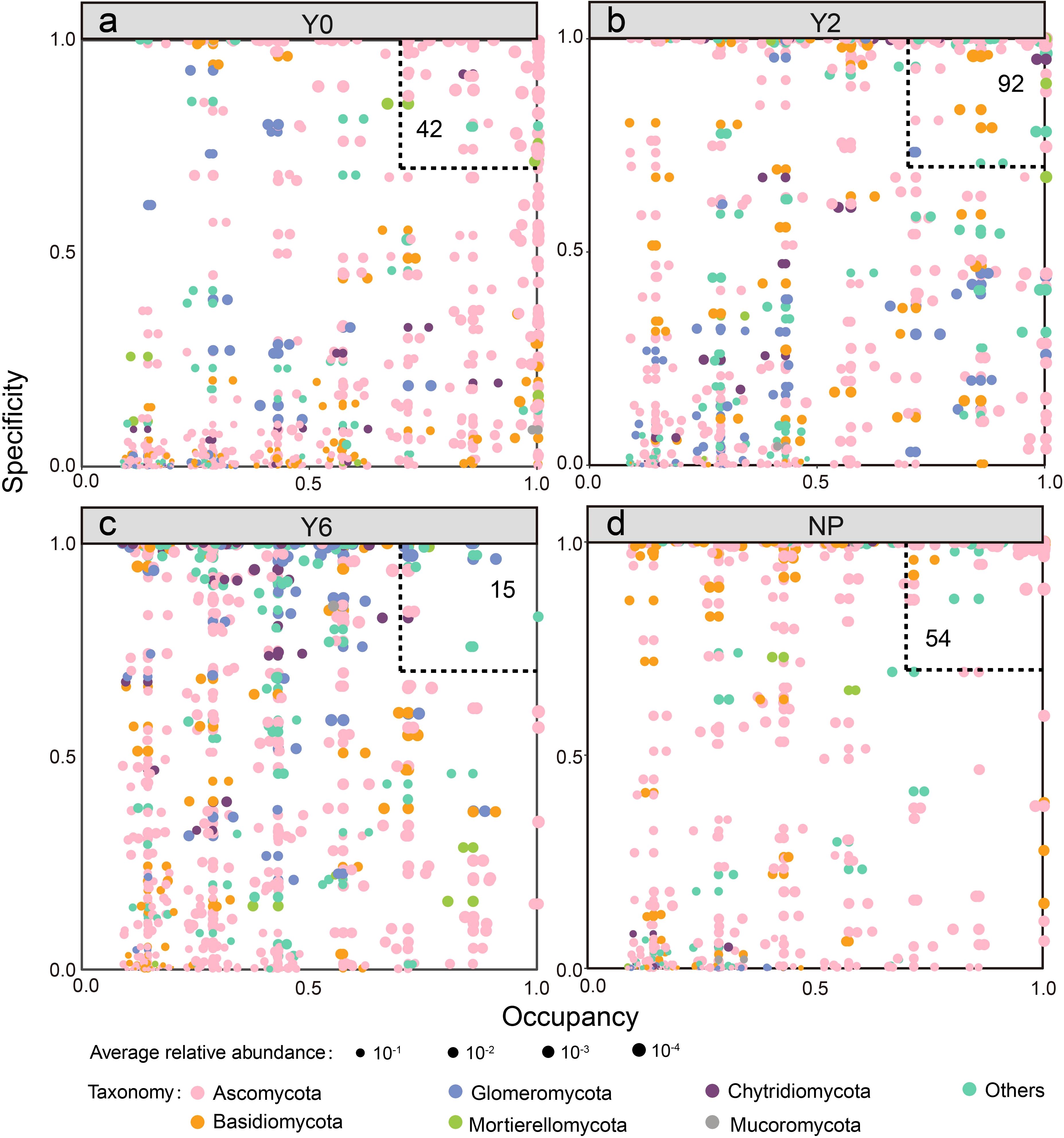 Scatter plots display specificity versus occupancy across four timelines: Y0, Y2, Y6, and NP. Each plot features colored dots representing different fungal taxa, with size indicating average relative abundance. Y0 has 42 highlighted taxa, Y2 has 92, Y6 has 15, and NP has 54. Color keys differentiate taxa such as Ascomycota and Basidiomycota.
