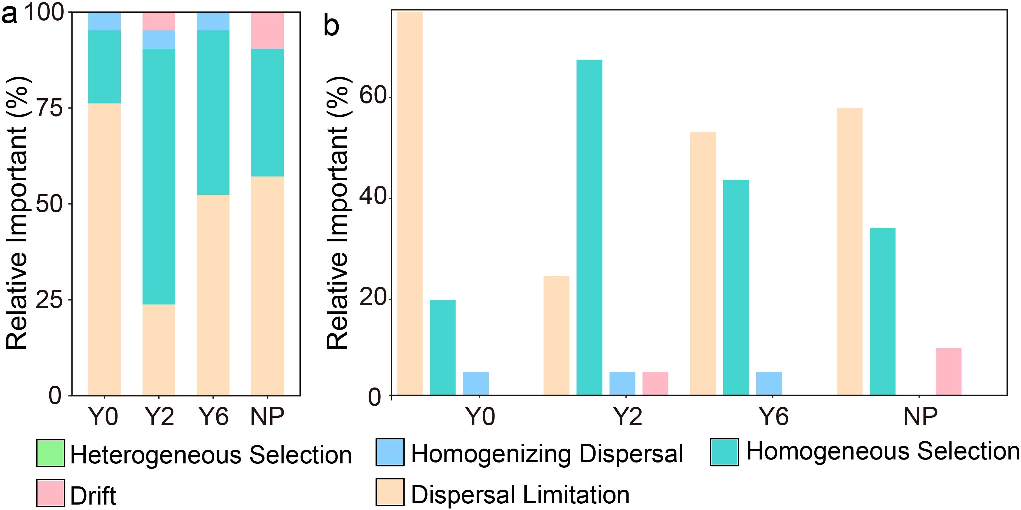 Bar charts labeled “a” and “b” show the relative importance of ecological processes: heterogeneous selection, homogenizing dispersal, homogeneous selection, dispersal limitation, and drift, represented in different colors. Categories Y0, Y2, Y6, and NP are displayed on the x-axes. Chart “a” represents percentages up to 100, and chart “b” up to 60. Dispersal limitation is dominant in most categories.
