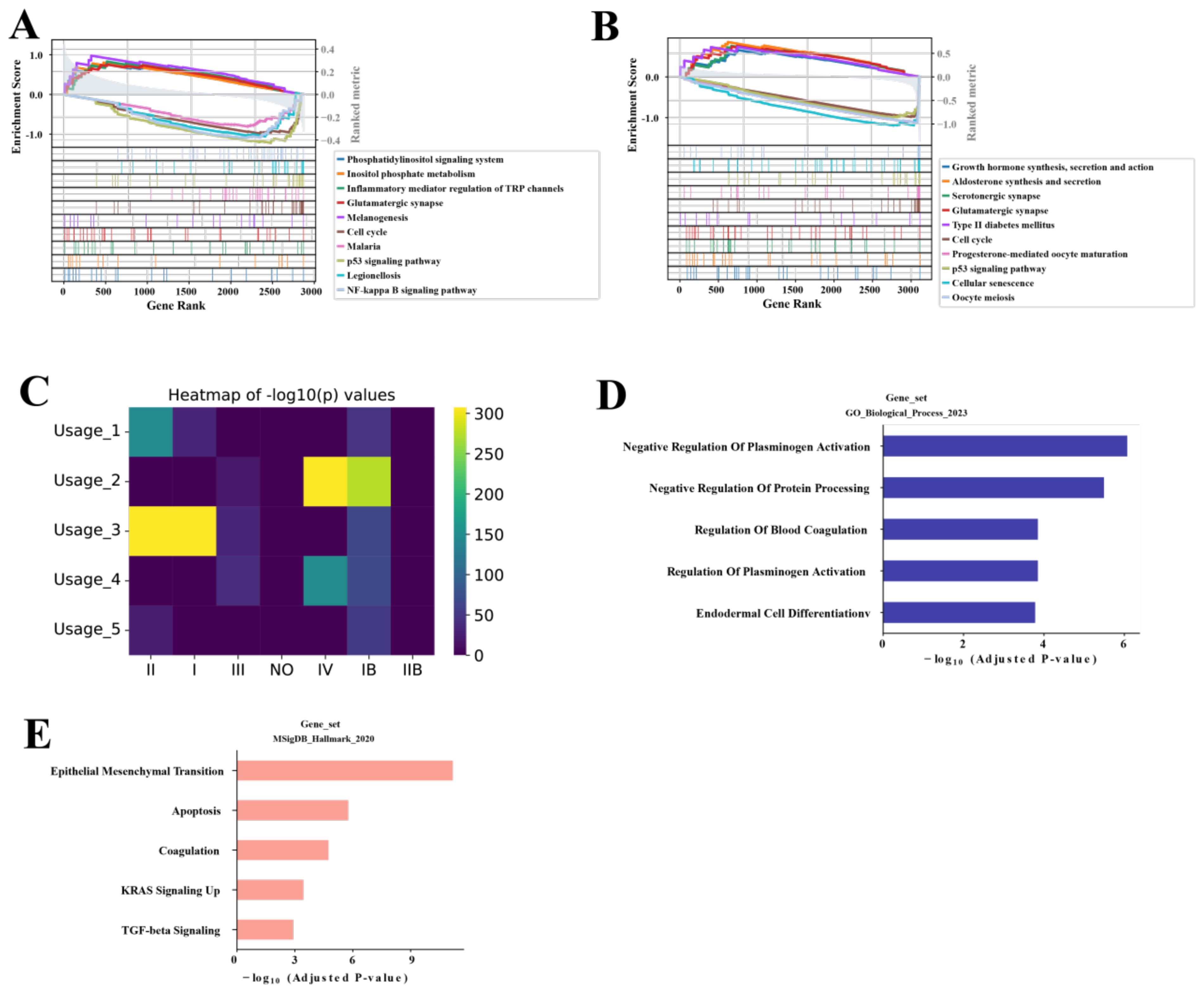 A contains a line graph depicting enrichment scores for various signaling pathways against gene rank, including phosphatidylinositol signaling. B features a similar line graph for pathways like growth hormone synthesis. C is a heatmap showing negative logarithmic p-values for different usages across classifications II to IIB, with a color scale from 50 to 300. D is a bar chart showing biological processes with negative regulation of plasminogen activation having the highest adjusted p-value. E is a bar chart showing significant gene sets with epithelial mesenchymal transition having the highest adjusted p-value.