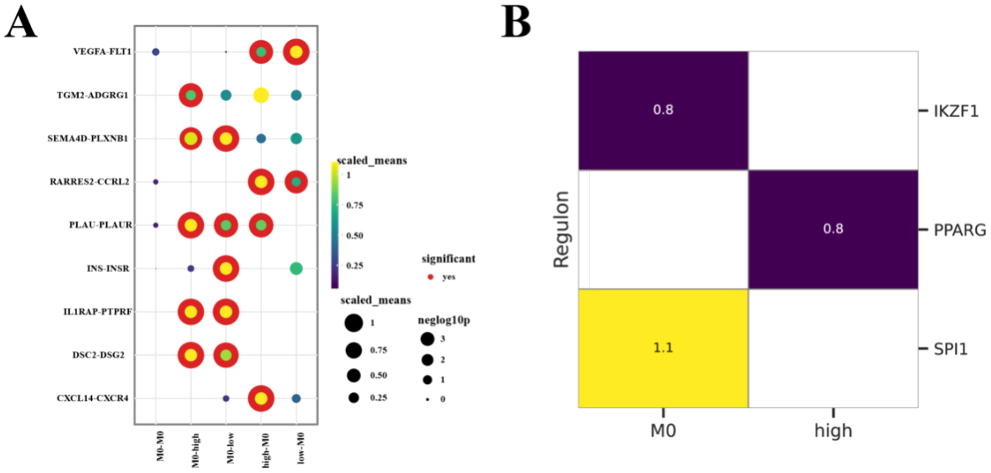 Panel A shows a dot plot of gene pairs with scaled mean values indicated by color intensity from purple (0.0) to yellow (1.0). Red outlines signify significance. Panel B displays a heatmap with regulons IKZF1, PPARG, and SPI1 against conditions M0 and high. Purple and yellow squares represent different value intensities: purple as 0.8 and yellow as 1.1.