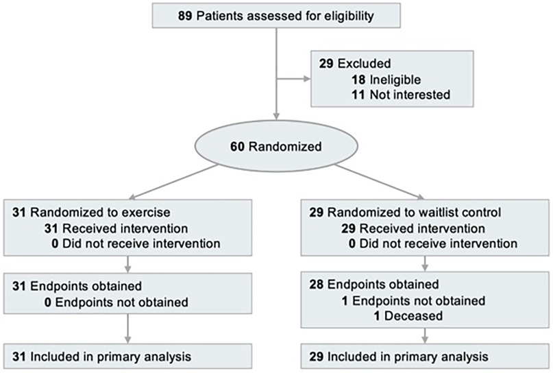 Flowchart depicting the process of a study with 89 patients assessed for eligibility. 29 excluded (18 ineligible, 11 not interested). 60 randomized: 31 to exercise, 29 to waitlist control. All received interventions. In the exercise group, all endpoints were obtained and included in analysis. In the control group, 28 endpoints obtained, 1 endpoint not obtained (1 deceased). 29 included in primary analysis.