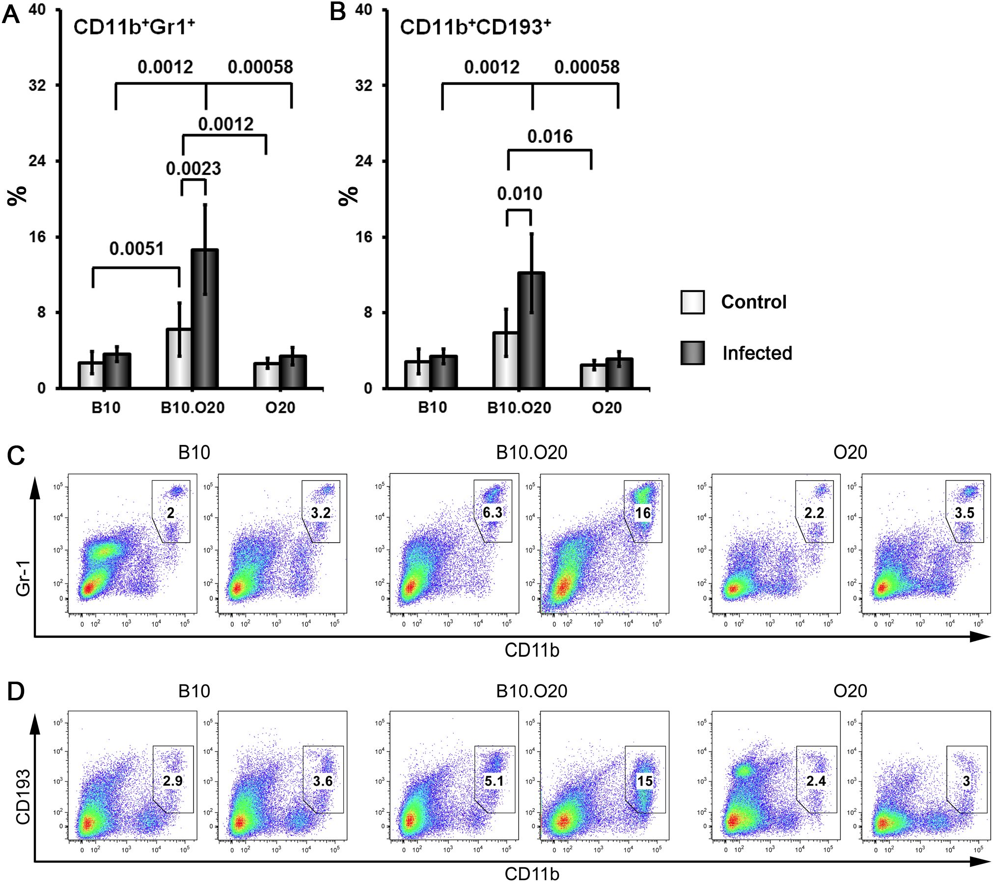 Bar graphs and scatter plots displaying data on CD11b+Gr1+ and CD11b+CD193+ cell populations. Graphs A and B show percentage comparisons of control and infected samples across B10, B10.O20, and O20 mouse strains, with p-values indicating significance levels. Scatter plots C and D illustrate the distribution of Gr1 versus CD11b and CD193 versus CD11b cell markers for the same mouse strains, highlighting differences in cell populations between conditions.