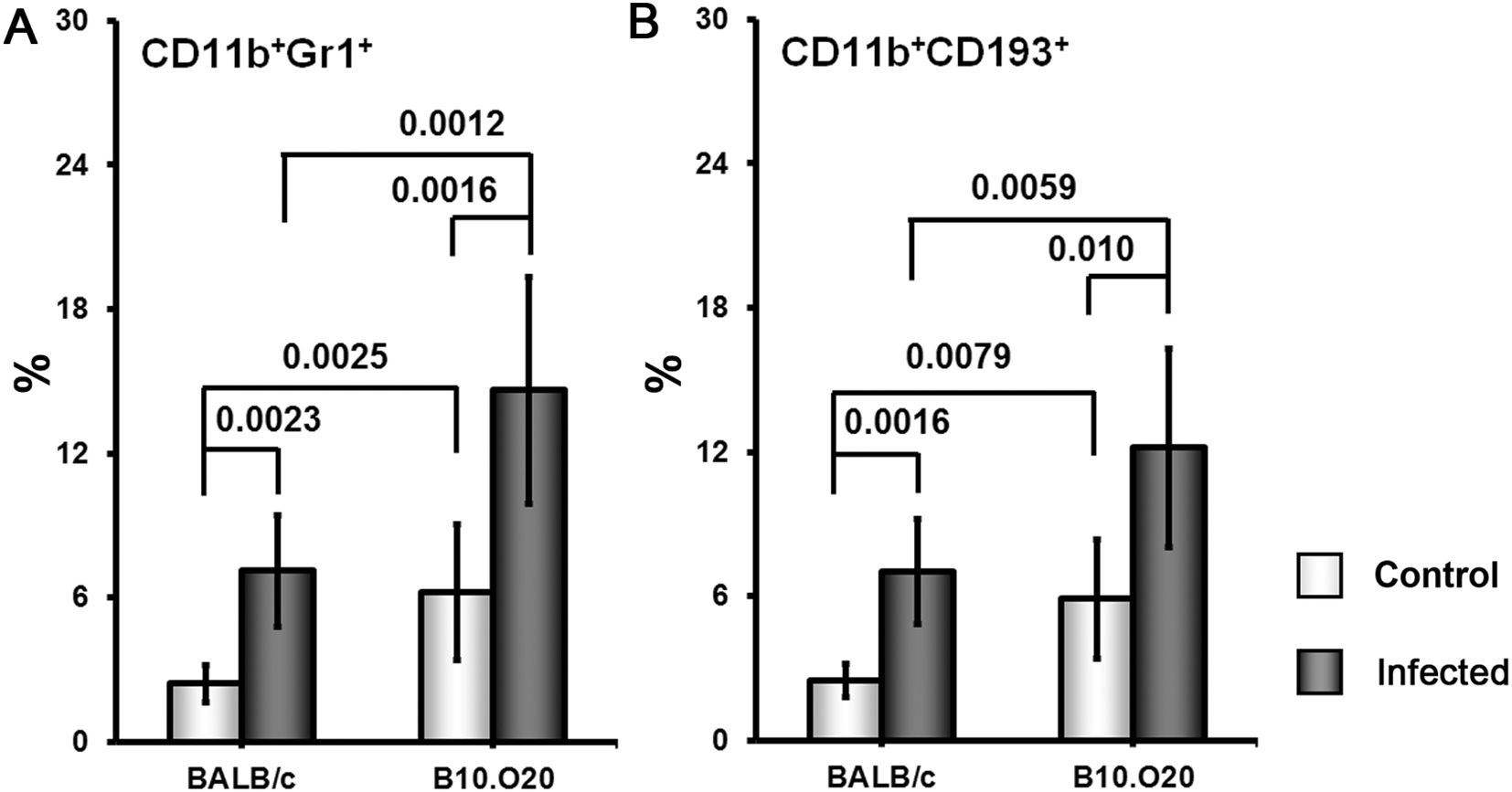 Bar charts labeled A and B compare the percentages of CD11b⁺Gr1⁺ and CD11b⁺CD193⁺ cells between BALB/c and B10.020 mice. Lighter bars denote control and darker bars indicate infected mouse strains. P-values show statistical significance, with infection mouse strains significantly higher than controls. Error bars indicate variability.