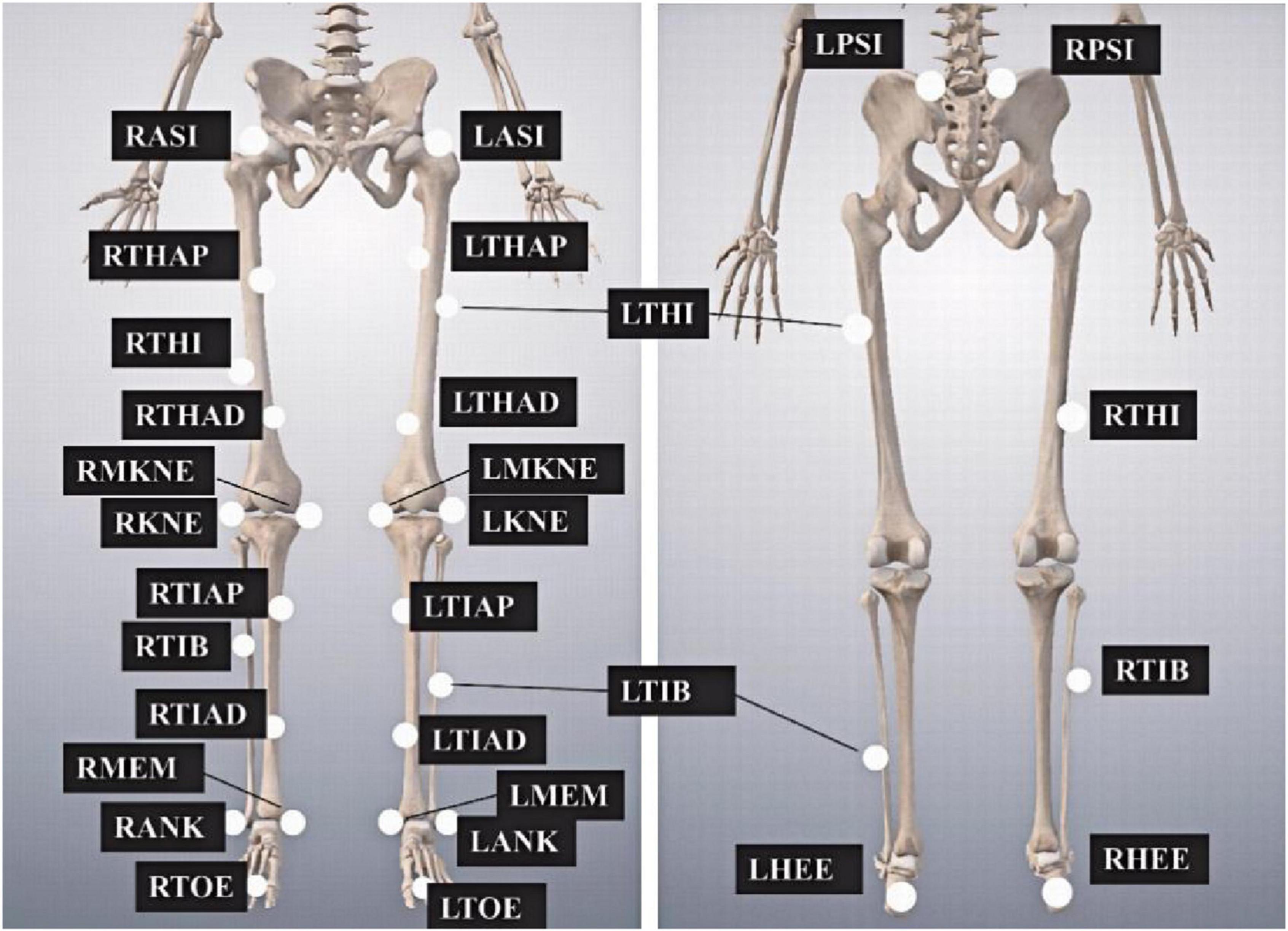 Two labeled diagrams of a human skeletal structure displaying anatomical points. The left image labels areas such as RASI, LASI, RTHI, LTHAD, RMKNE, and LTIB. The right image shows labels like LPSI, RPSI, RTHI, and RTIB.