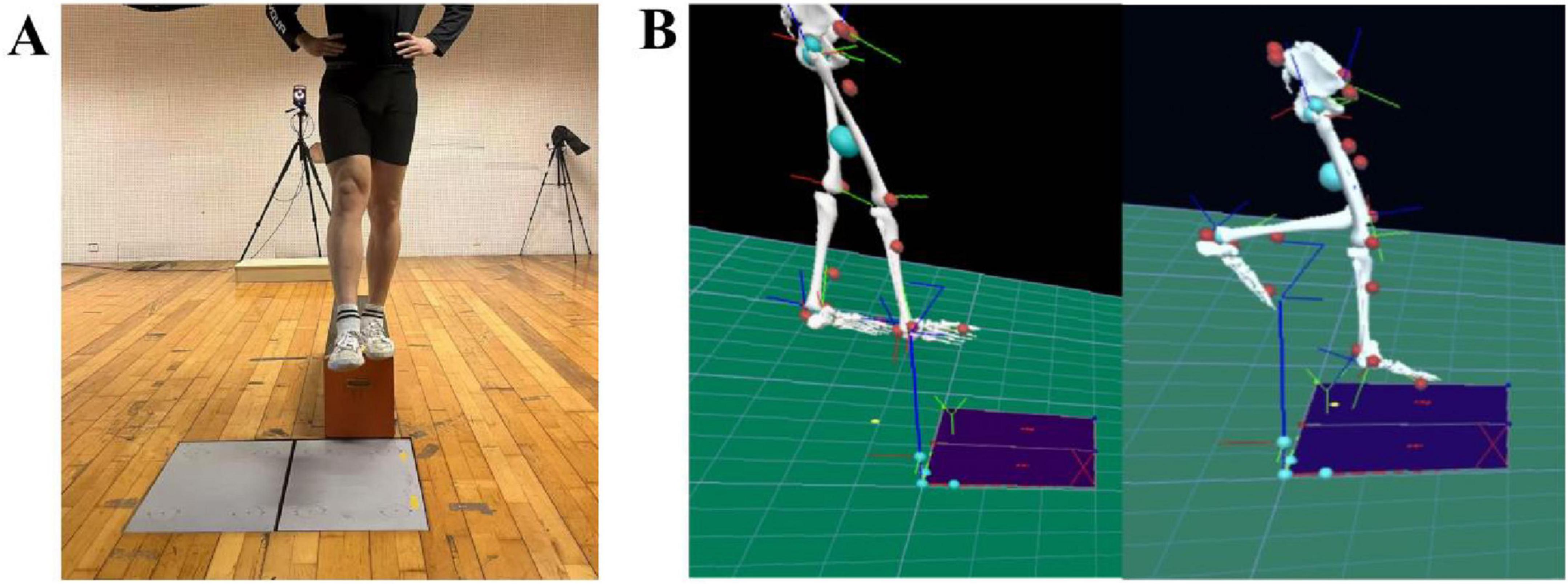 Panel A shows a person standing on a wooden box, with cameras set up around the room. Panel B displays a digital 3D model of a human skeleton performing a similar action, with markers attached, demonstrating motion capture on a green grid.