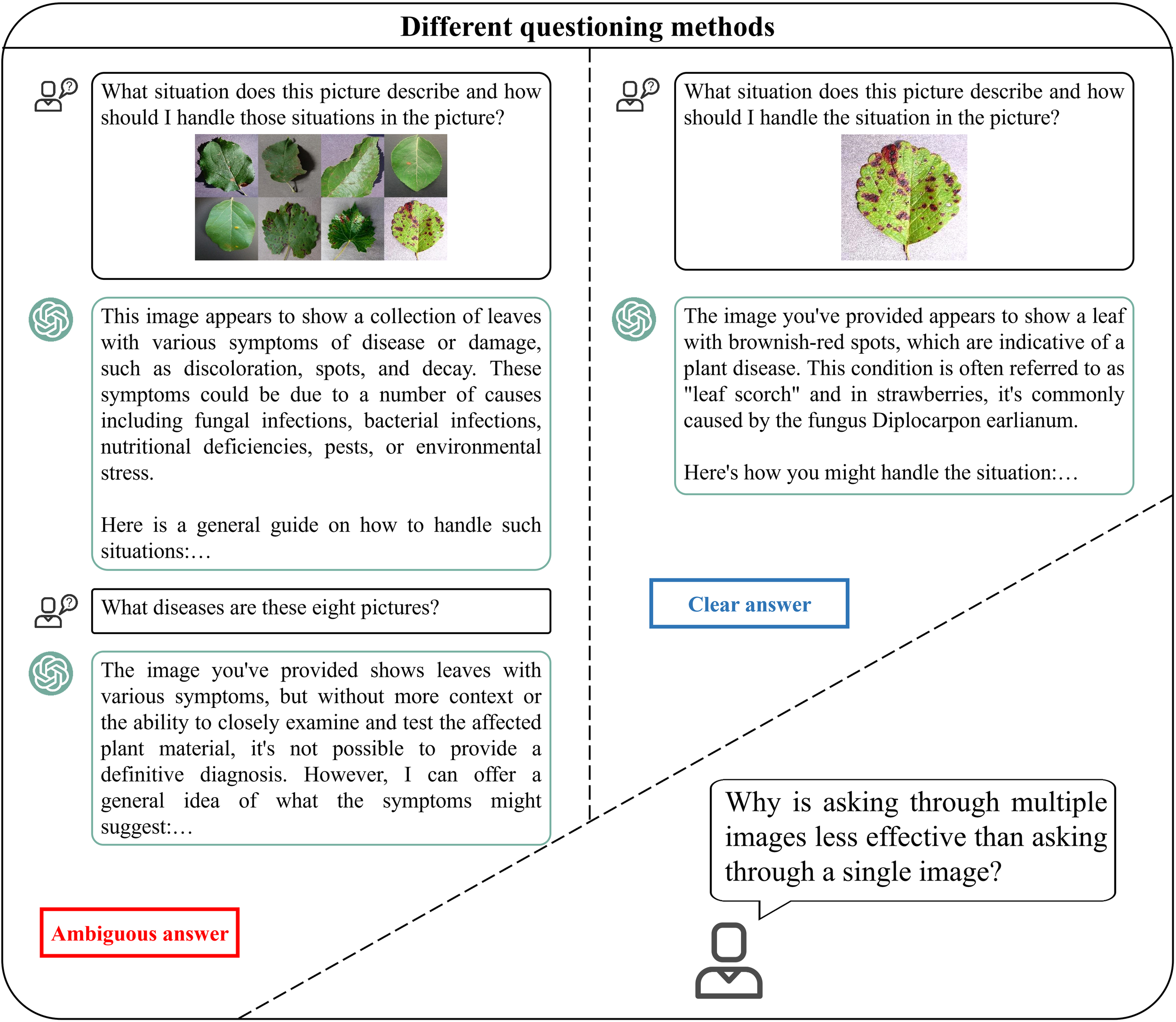 Different questioning methods are illustrated in a split diagram with two sections. The left section with the heading “Ambiguous answer” shows multiple images of leaves with diseases, asking broad questions, and receiving vague responses. The right section with the heading “Clear answer” shows a single leaf with specific spots, asking a precise question, and getting a detailed diagnosis. A speech bubble at the bottom asks why using multiple images is less effective than a single image.