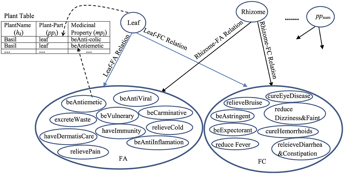 Diagram showing a relational model linking plant properties and medicinal benefits. On the left, a table lists the plant name “Basil” with parts “leaf” having properties “beAnti-colic” and “beAntiemetic.” Arrows connect “Leaf” to “FA” and “FC” relations, associating various effects like “beAntiViral,” “relievePain,” and “reduceCold.” Similar connections are shown for “Rhizome,” linking to effects like “cureEyeDisease” and “reduceFever.” The diagram illustrates the relationships between plant parts and their medicinal properties.