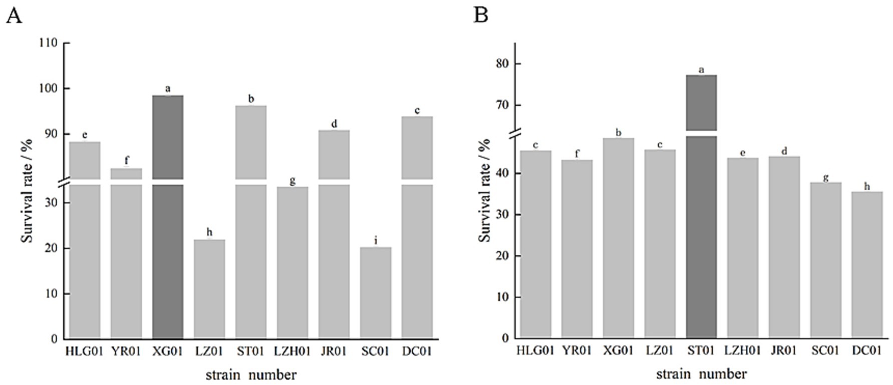 Two bar charts labeled A and B compare survival rates of different strains. Chart A shows strain ST01 with the highest rate, followed by XG01. Chart B highlights ST01 with the highest rate, followed by XG01 and HLG01. Each bar represents a different strain number.
