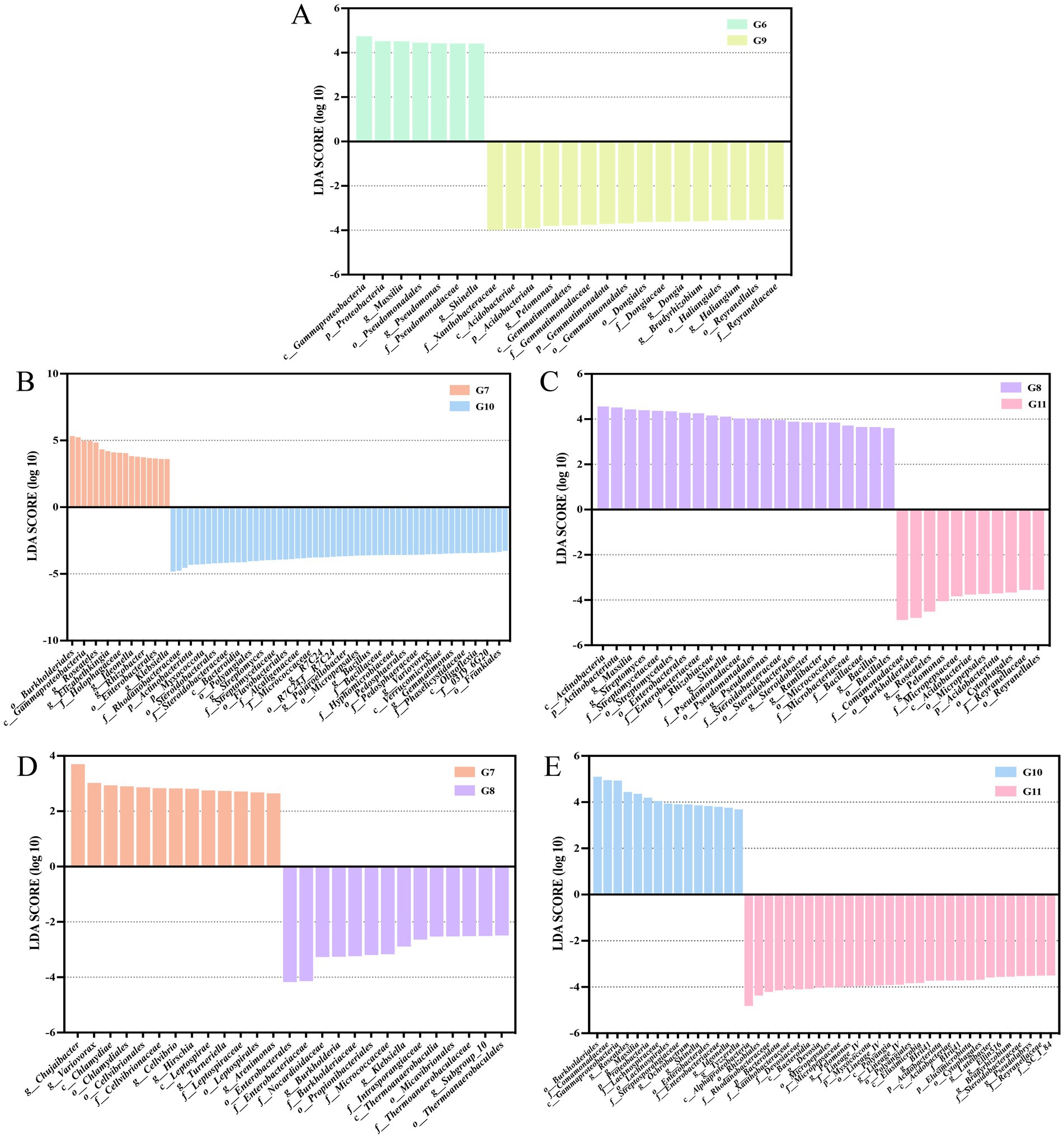 Five bar graphs labeled A to E show LDA scores (log scale) with different colors representing various groups. Each graph contrasts two groups with species names on the x-axis. Bars extend above and below a horizontal line, indicating positive and negative contributions.