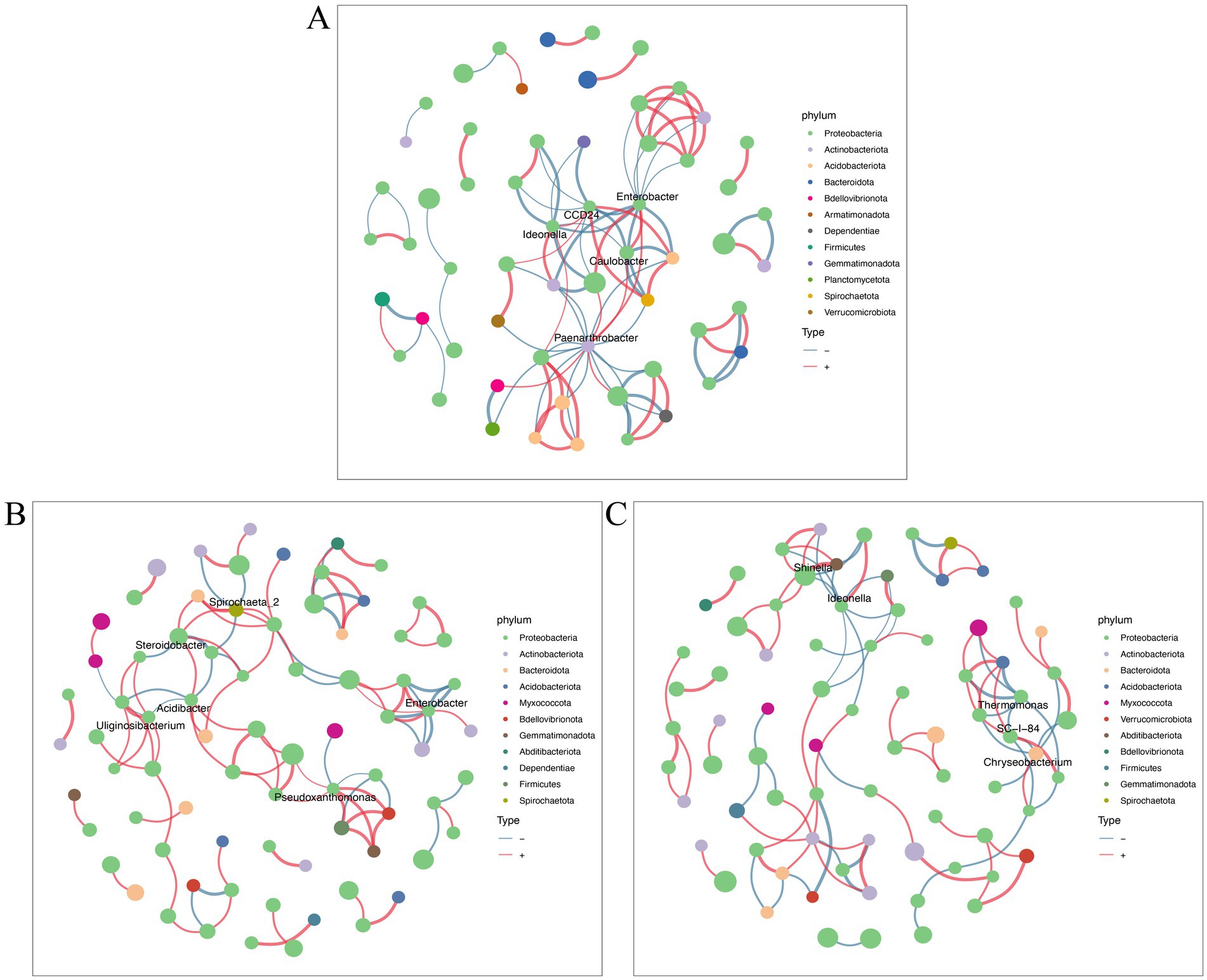 Three network diagrams labeled A, B, and C depict microbial communities with nodes representing different phyla indicated by color. A legend explains color coding by phylum and line types denoting interactions.