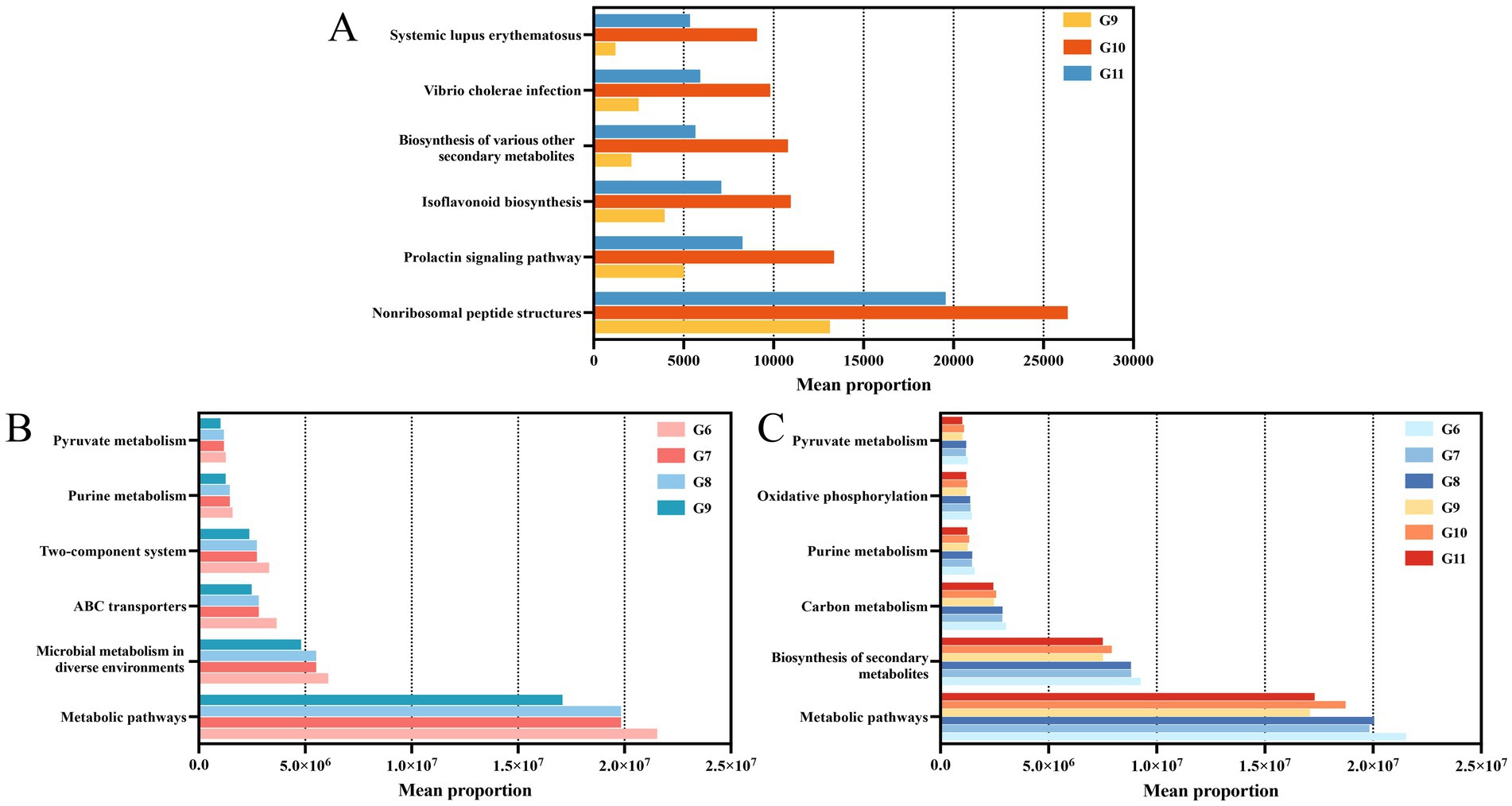 Three bar charts labeled A, B, and C compare mean proportions of various pathways and infections across different groups. Chart A shows higher proportions for nonribosomal peptide structures in groups G10 and G11. Chart B highlights metabolic pathways with the highest proportion across groups G6 to G9. Chart C presents metabolic pathways, showing notable proportions in groups G10 and G11. Each chart uses different colors to distinguish the groups.