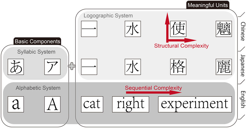Diagram illustrating orthographic systems. Basic components include syllabic and alphabetic systems with examples in Japanese and English. Logographic system shows increasing structural complexity with Chinese and Japanese characters. Sequential complexity is shown in English words like “cat” and “experiment,” as longer words represent greater complexity. Red arrows indicate vertical structural complexity and horizontal sequential complexity.