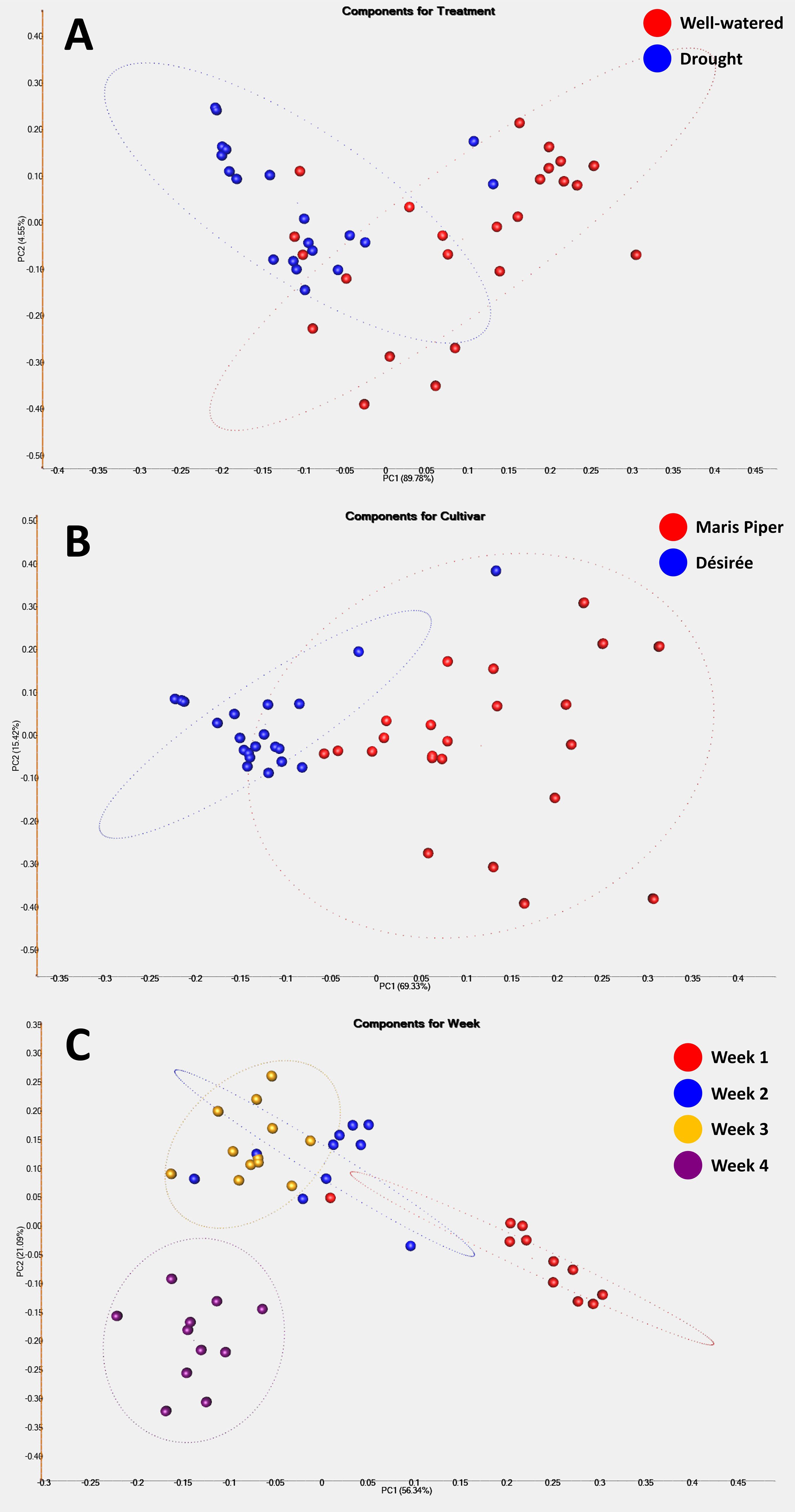 Panel A is a scatter plot showing PCA components for treatment: red dots represent well-watered, blue dots represent drought. Panel B displays PCA components for cultivar: red dots for Maris Piper, blue dots for Désirée. Panel C illustrates PCA components for week: red for week one, blue for week two, yellow for week three, purple for week four. Ellipses indicate grouping trends.