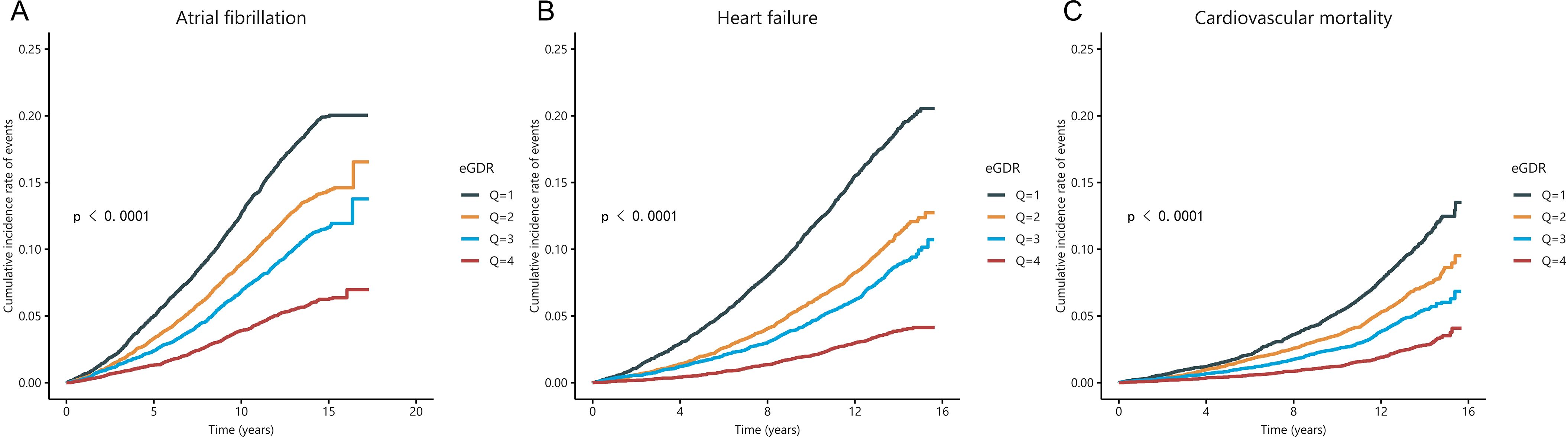 Three line graphs illustrate the cumulative incidence rates of events over time for three conditions: atrial fibrillation, heart failure, and cardiovascular mortality. Each graph compares four groups labeled Q1 to Q4, distinguished by different colored lines. The graphs show that higher cumulative incidence rates are associated with lower eGDR values (Q1), and the lowest rates with higher eGDR values (Q4), with a significant p-value of less than 0.0001.