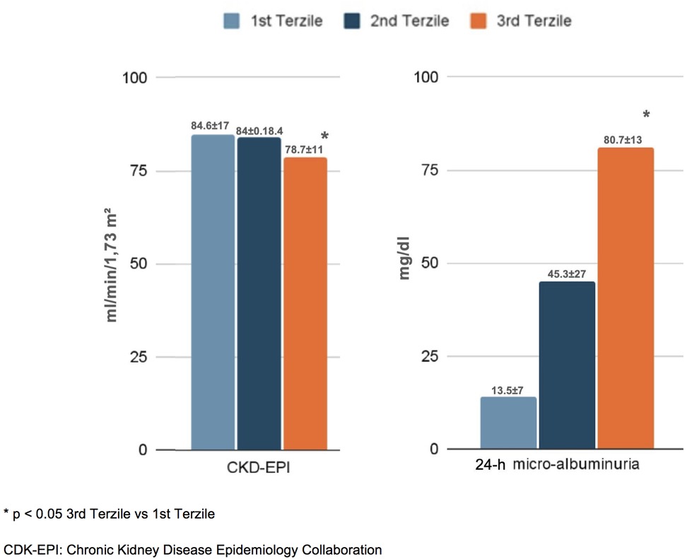 Two bar graphs compare metrics across tertiles. The left graph shows CKD-EPI values for 1st, 2nd, and 3rd tertiles as 84.6±17, 84±18.4, and 78.7±11 mL/min/1.73 m², respectively. The right graph shows 24-hour microalbuminuria values as 13.5±7, 45.3±27, and 80.7±13 mg/dL. The 3rd tertile significantly differs from the 1st in both graphs.