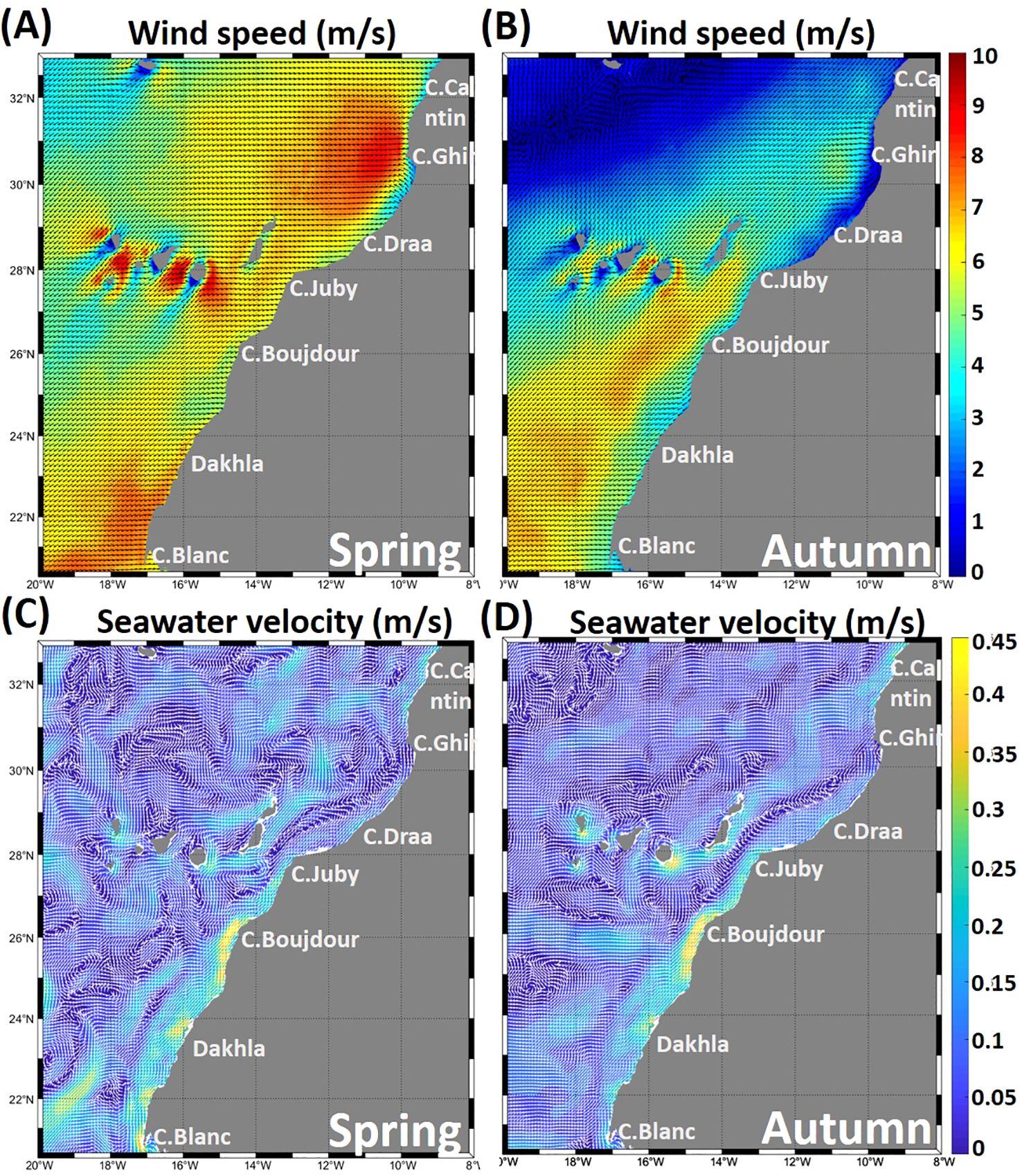 Maps displaying wind speed and seawater velocity for spring and autumn. Panels A and B show wind speed in meters per second, with warmer colors indicating higher speeds. Panels C and D illustrate seawater velocity using similar color gradients. Geographic locations labeled include Cape Cantin, Cape Ghirl, Cape Draa, Cape Juby, Cape Boujdour, Dakhla, and Cape Blanc.