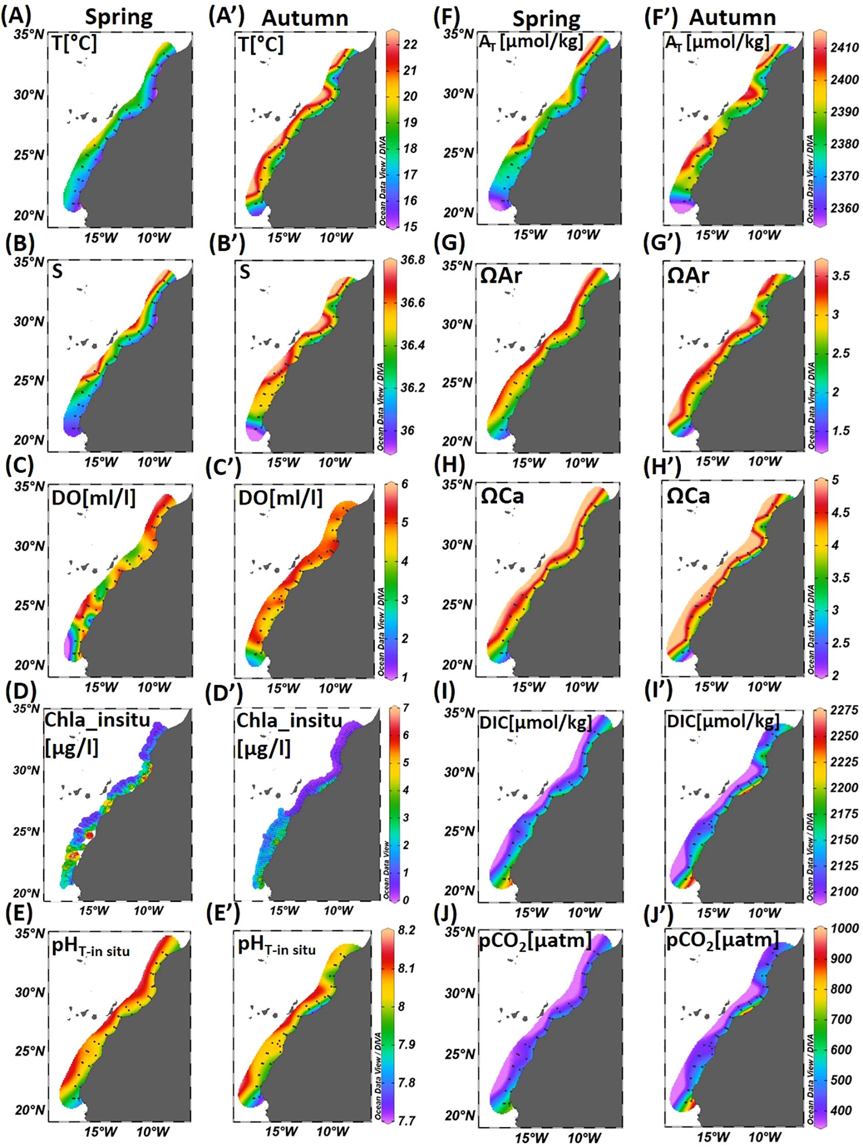 Ten side-by-side maps depicting oceanographic data for spring and autumn. Maps A and A’ show temperature in degrees Celsius, B and B’ show salinity, C and C’ illustrate dissolved oxygen levels, D and D’ present chlorophyll concentration, E and E’ depict in situ pH, F and F’ indicate total alkalinity, G and G’ show aragonite saturation, H and H’ show calcite saturation, I and I’ represent dissolved inorganic carbon, and J and J’ illustrate partial pressure of carbon dioxide. Each map uses a color gradient to represent data variations over the same geographic region, with coordinates ranging from 19°W to 5°W and 20°N to 35°N.