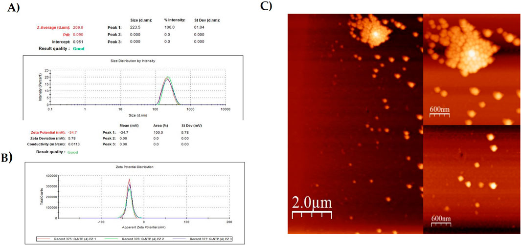 Panel A shows a size distribution graph indicating a dominant peak at 209.9 nanometers with good result quality. Panel B presents a zeta potential distribution graph with a mean of -34.7 millivolts, also marked as good quality. Panel C consists of three atomic force microscopy images displaying particle clusters on a surface with scales of 600 nanometers and 2 micrometers.