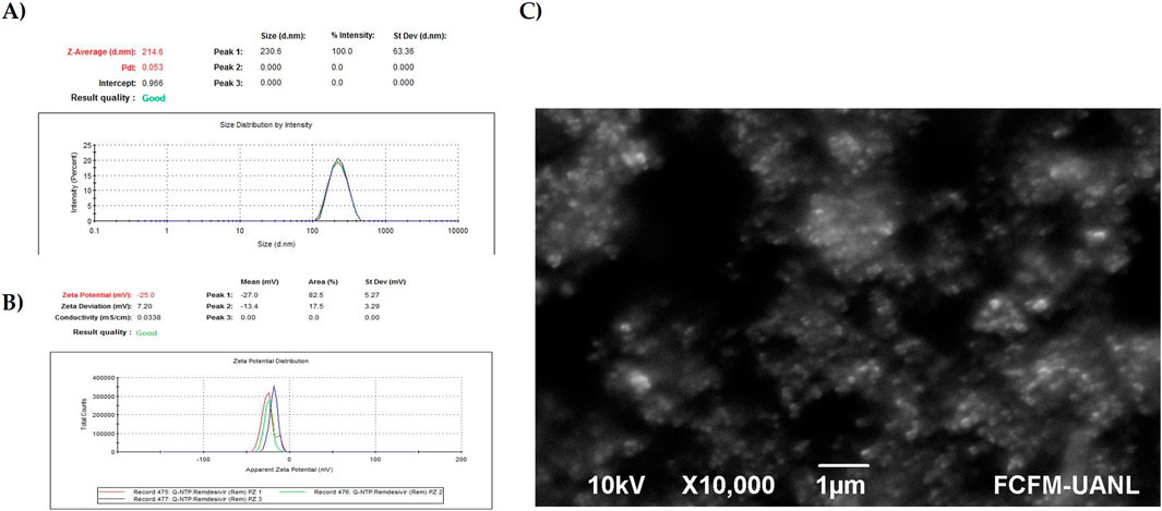 Panel A shows a size distribution graph indicating a Z-Average of 214.5 nm with a peak at 230.6 nm. Panel B displays a zeta potential distribution graph with a zeta potential of -25.0 mV and peaks at -27.0 mV and -13.4 mV. Panel C is an electron microscope image showing a textured surface at 10 kV magnification of 10,000 times, with a scale bar of 1 micrometer.