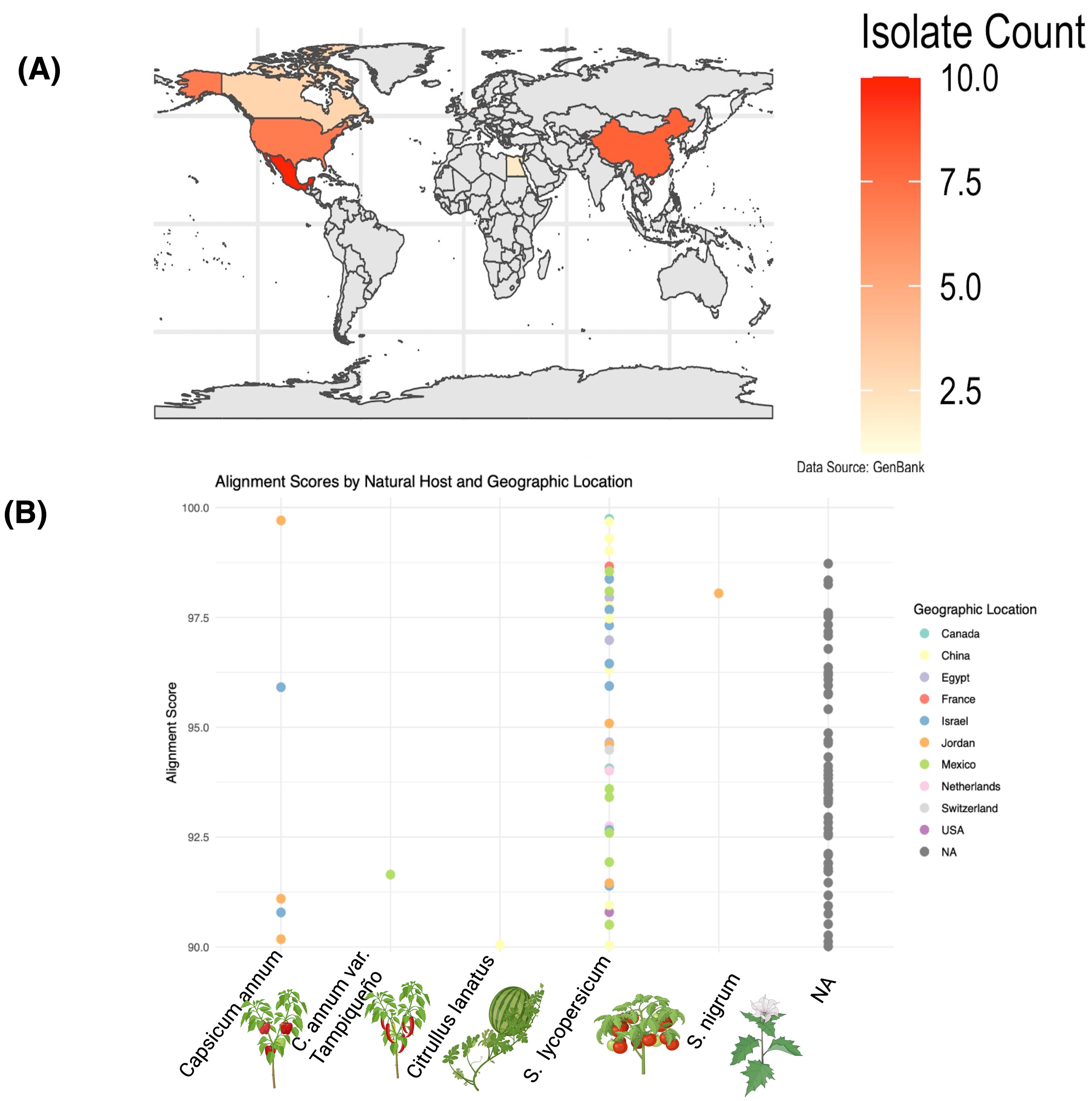 A map and chart displaying virus isolate distribution and alignment scores. (A) A world map highlights isolate counts in different regions, with higher counts in parts of North America, China, and Mexico. (B) A dot plot shows alignment scores against various natural hosts like Capsicum annuum and Lycopersicon species, colored by geographic location, including countries like Canada, China, and the USA.