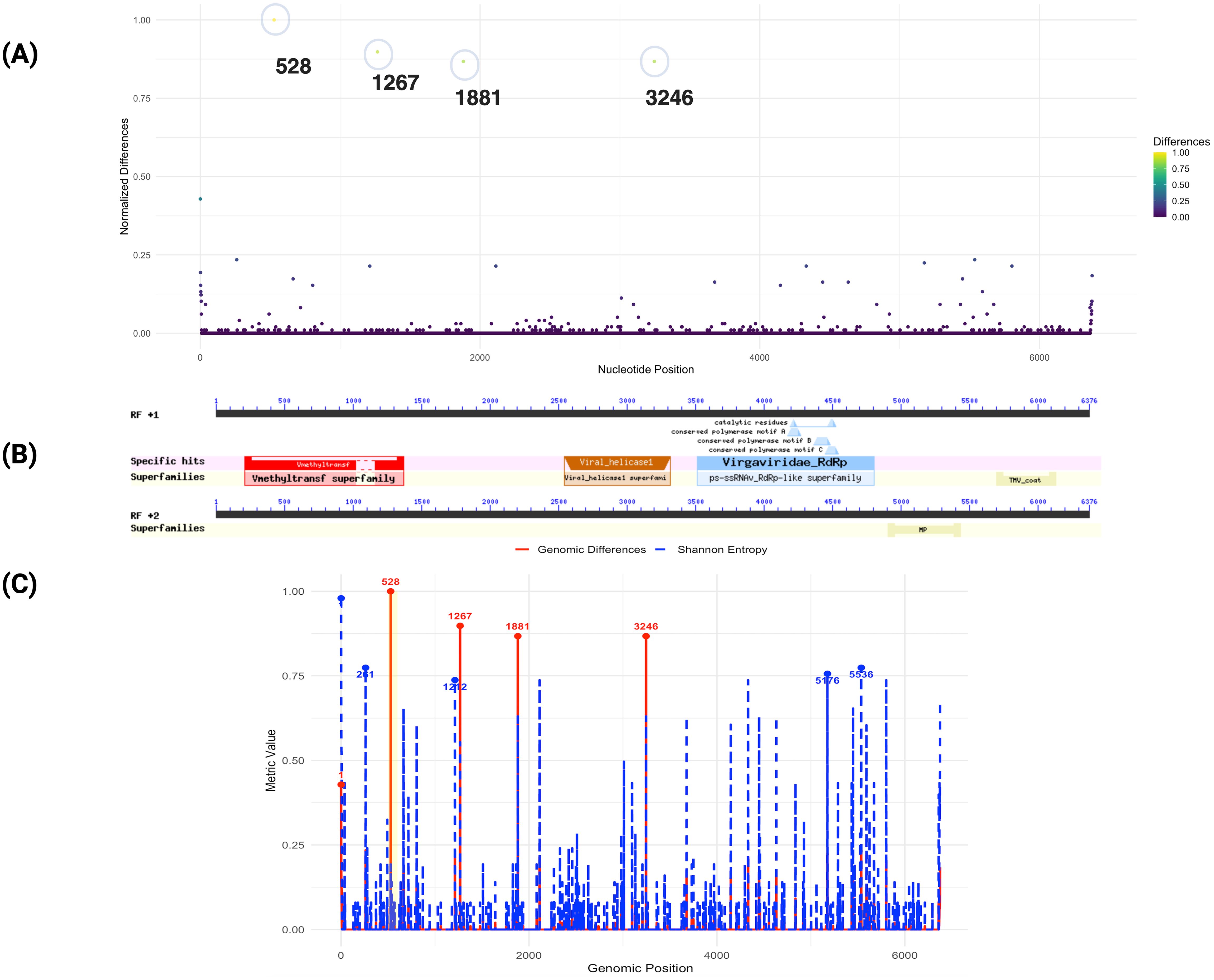 (A) Line graph displaying normalized differences across nucleotide positions, highlighting peaks at positions 528, 1267, 1881, and 3246. (B) Diagram showing specific hits and superfamilies along genomic positions, illustrating areas of interest like methyltransf and viral_helix domains. (C) Plot comparing genomic differences and Shannon Entropy with prominent peaks, emphasizing genomic variability at certain positions.