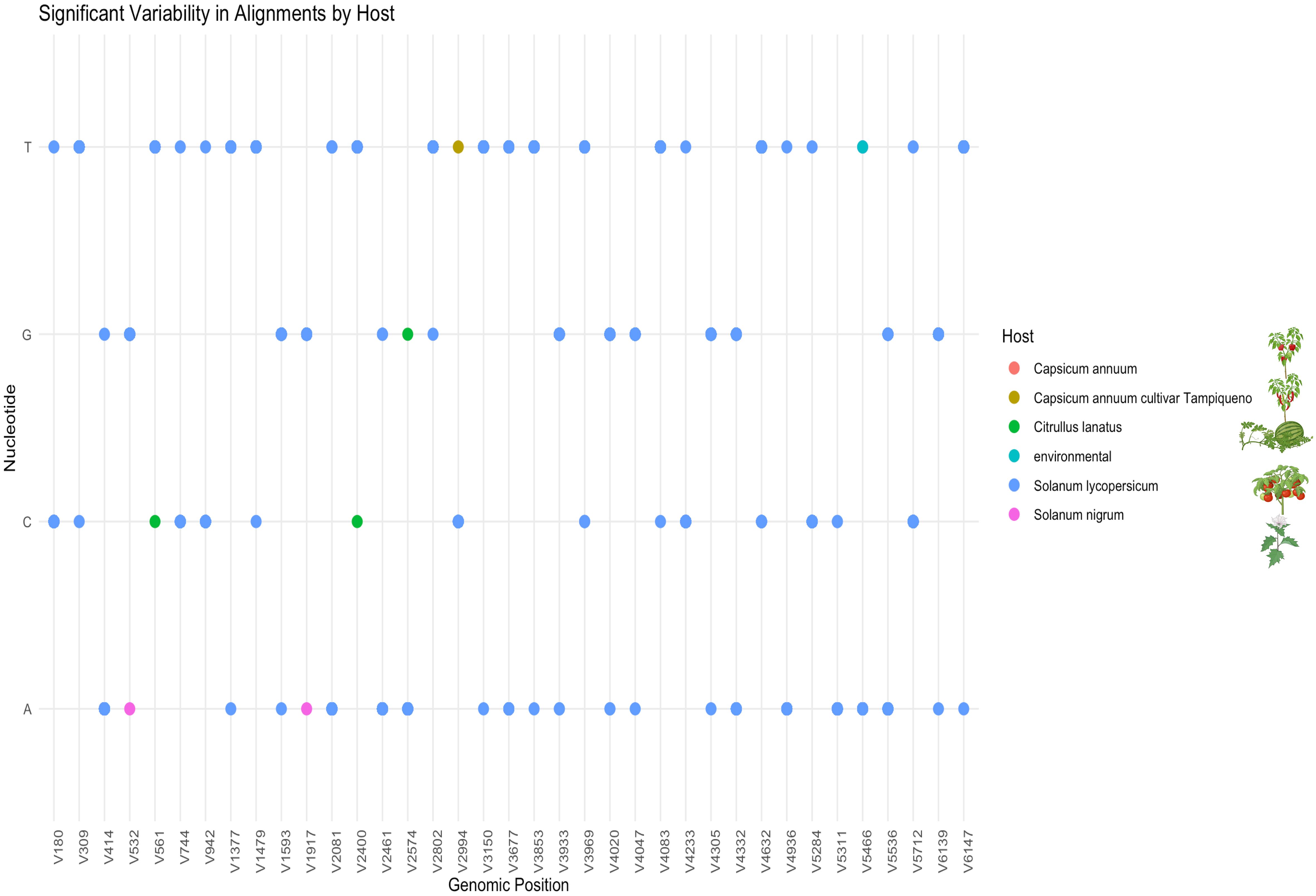 Scatter plot titled “Significant Variability in Alignments by Host” showing nucleotide positions along the y-axis and genomic positions along the x-axis. Colored dots represent different hosts: Capsicum annuum, Capsicum annuum cultivar Tampiqueño, Citrullus lanatus, environmental, Solanum lycopersicum, and Solanum nigrum. Each host is identified by different colors and corresponding plant illustrations on the right side of the chart.