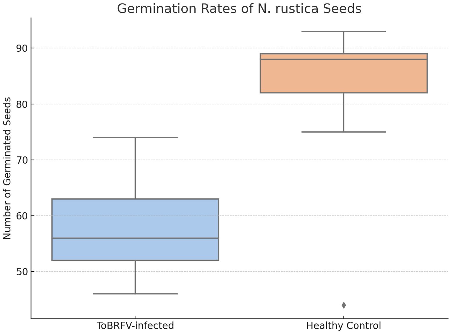 Box plot comparing germination rates of N. rustica seeds. ToBRFV-infected seeds have a median germination around 60 with interquartile range from 50 to 65. Healthy control seeds have a median around 80 with an interquartile range from 77 to 88.