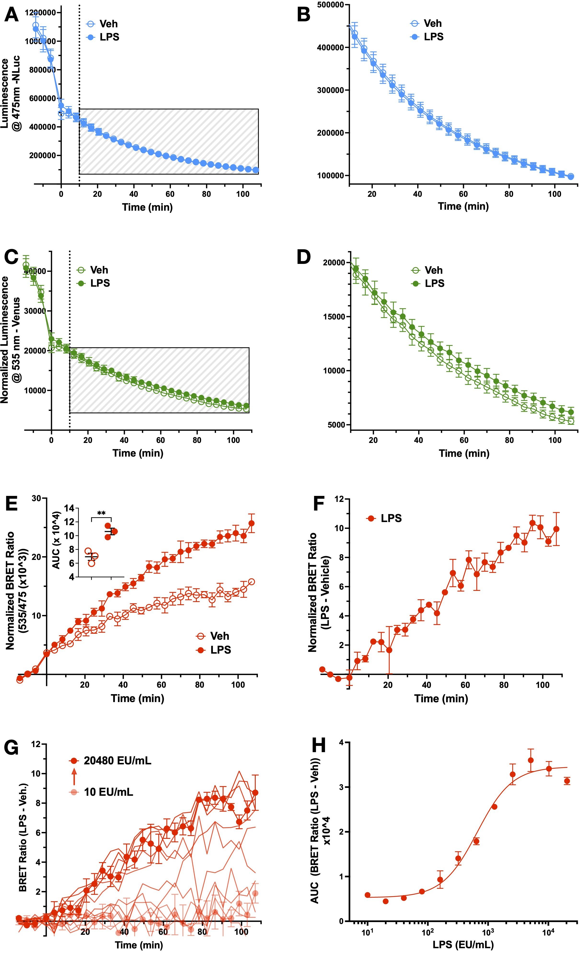 A series of graphs depict luminescence and BRET ratio changes over time in vehicle (Veh) and LPS-treated samples. Graphs A and B show a decrease in luminescence for Veh and LPS with LPS showing higher values initially. Graphs C and D show normalized luminescence at 535 nm, with LPS levels exceeding Veh. Graph E shows normalized BRET ratios, increasing more in LPS than Veh. Graph F displays LPS-induced BRET ratios. Graph G presents BRET ratios at varying LPS concentrations (10 to 20480 EU/mL), with higher concentrations leading to higher ratios. Graph H shows an increase in AUC (BRET ratio) with increasing LPS concentration.