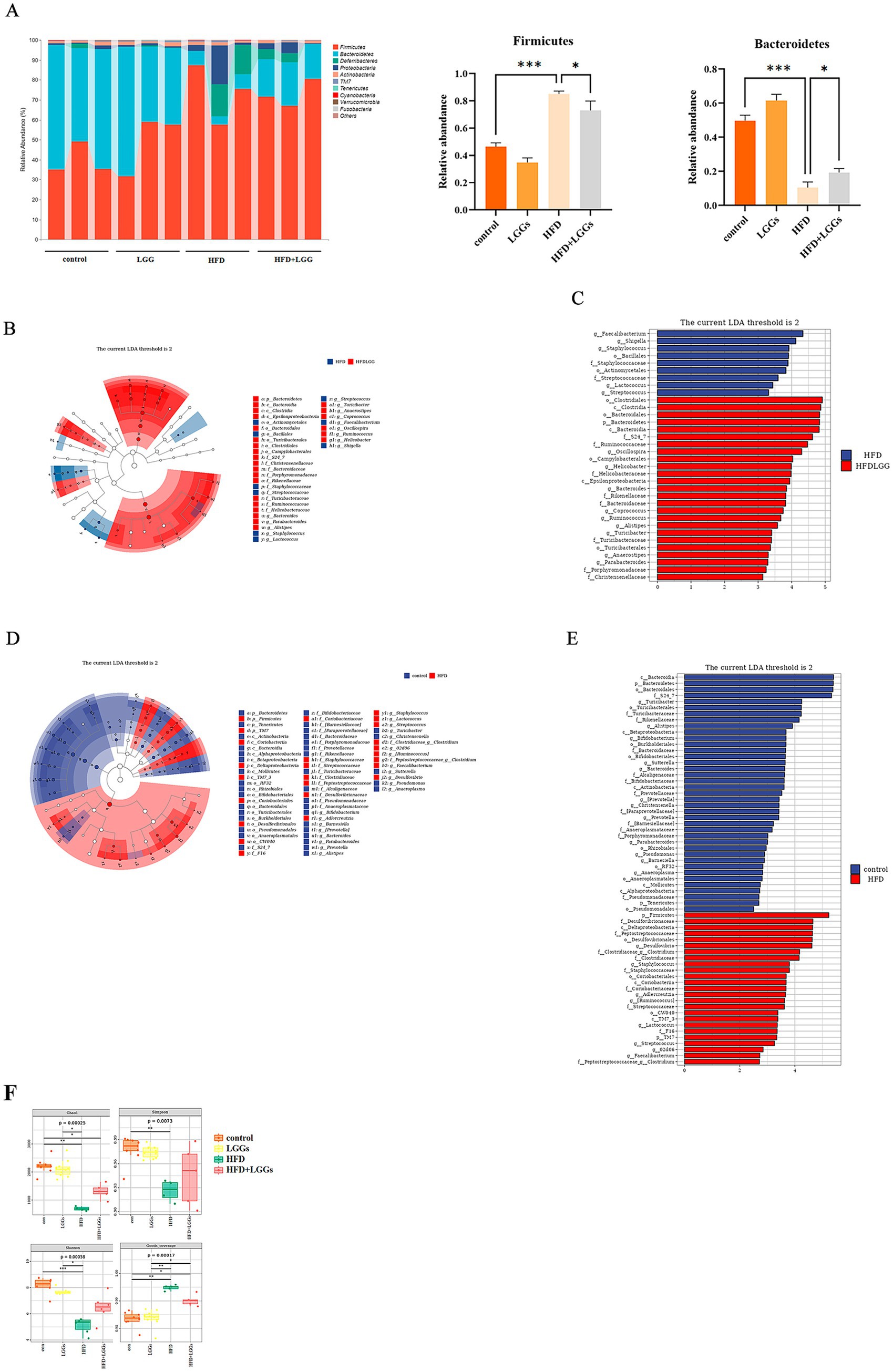 Grouped images of microbiome data visualizations: A) Bar charts show relative abundance of bacterial phyla across control and treatment groups; Firmicutes and Bacteroidetes levels are highlighted. B) and D) Circular tree diagrams represent the taxa distribution based on LDA scores for different treatments. C) and E) Bar graphs illustrate LDA scores comparing HFD versus HFD+LGG and control versus HFD respectively. F) Box plots display various levels of microbial diversity and abundance metrics across the groups.