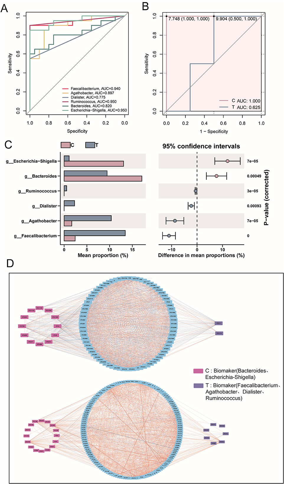 Graph A shows ROC curves for six bacterial genera with varying AUC scores. Graph B displays an ROC curve comparing C and T groups with different AUC scores. Graph C presents bar charts comparing mean proportions of six bacterial genera in C and T groups, with confidence intervals and corrected p-values. Diagram D illustrates two circular networks of microbial interactions, highlighting biomarkers for C (Bacteroides, Escherichia-Shigella) and T (Faecalibacterium, Agathobacter, Dialister, Ruminococcus) groups.