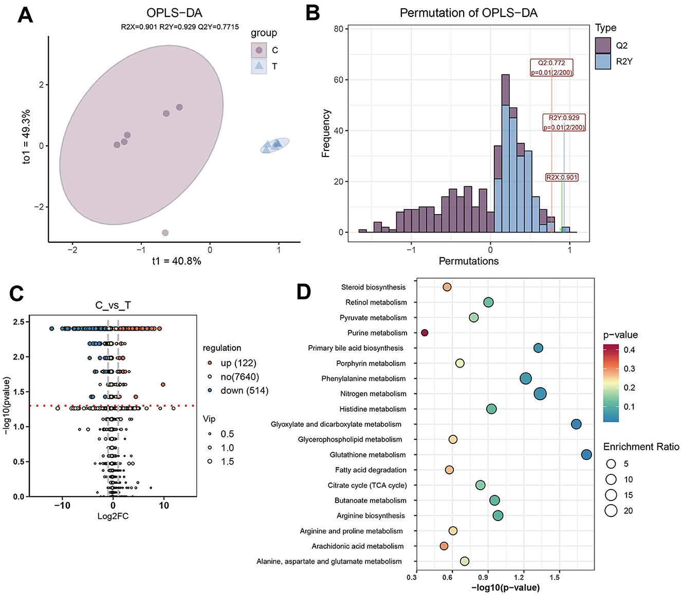 Four-part data visualization related to OPLS-DA analysis: A) OPLS-DA score plot shows two groups, C and T, with overlapping ellipses indicating group separation. B) Histogram of OPLS-DA permutation test displays Q2 and R2Y distributions over permutations. C) Volcano plot for C vs. T comparison, illustrating upregulated, downregulated, and non-significant features based on Log2FC and p-values. D) Bubble plot shows enrichment analysis of metabolic pathways with bubble size indicating the enrichment ratio and color denoting p-values.
