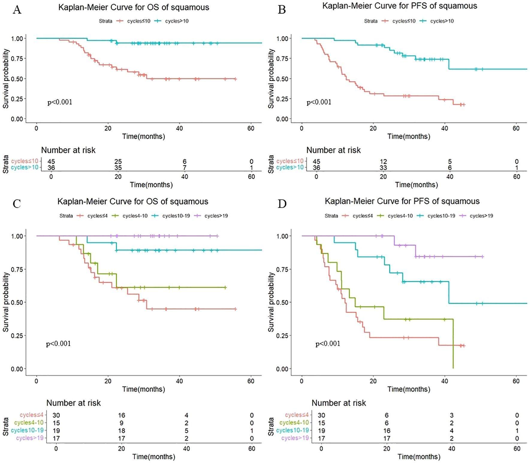 Four Kaplan-Meier survival curves for squamous cell carcinoma. Graph A shows overall survival (OS) for cycles less than or equal to 10 and greater than 10. Graph B shows progression-free survival (PFS) for the same. Graph C presents OS based on cycles less than 4, 4 to 10, 10 to 19, and greater than 19. Graph D shows PFS using the same cycle groups. Each graph includes a p-value of less than 0.001, and a table for the number at risk over time is included at the bottom of each graph.