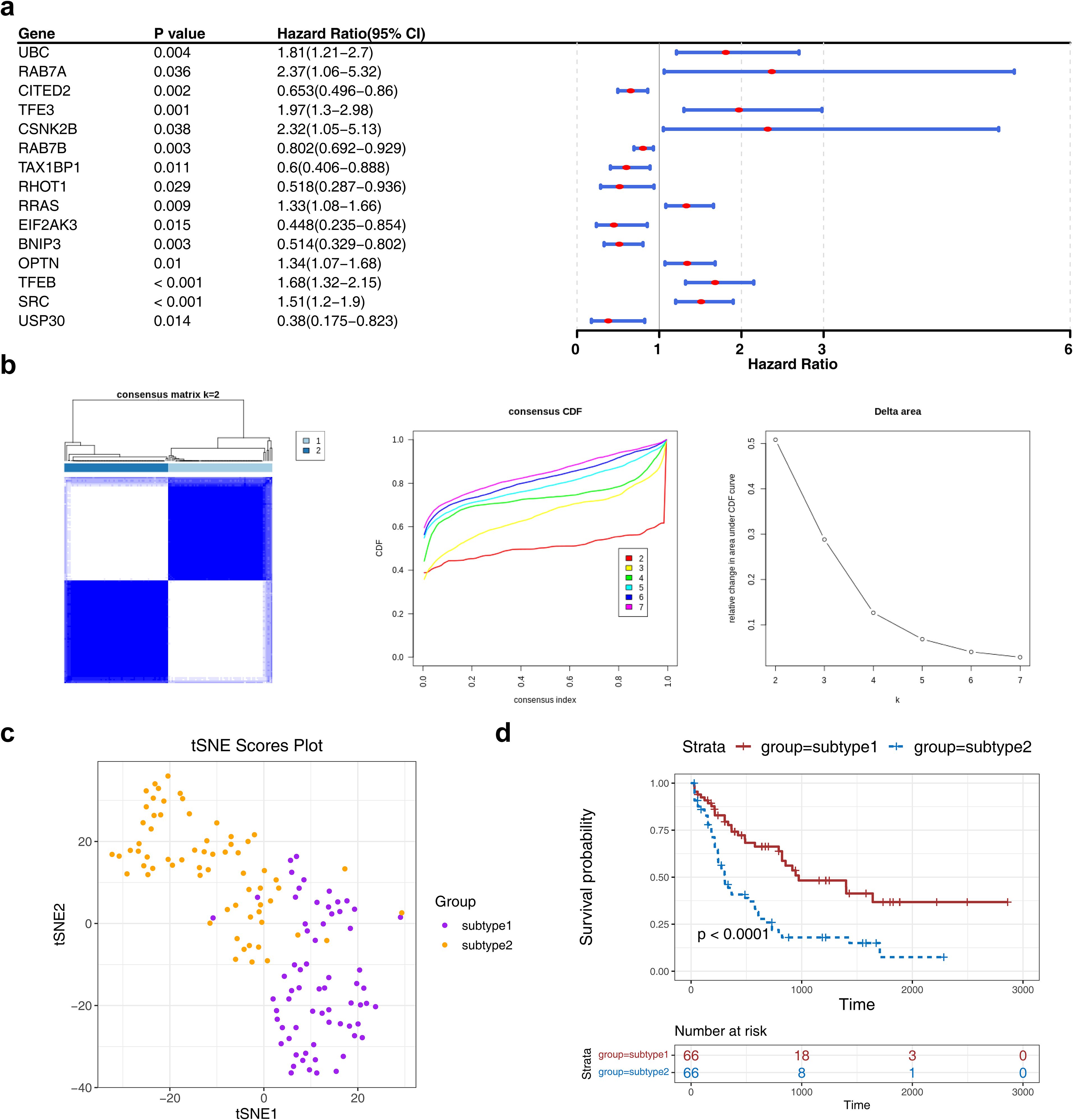 Panel a displays a table and forest plot showing genes with their p-values and hazard ratios, with red dots and blue lines indicating confidence intervals. Panel b presents a consensus matrix, CDF plot, and delta area plot for clustering analysis. Panel c shows a t-SNE plot differentiating subtype groups with purple and orange dots. Panel d features a Kaplan-Meier survival curve comparing two subtypes, with a significant p-value indicated.