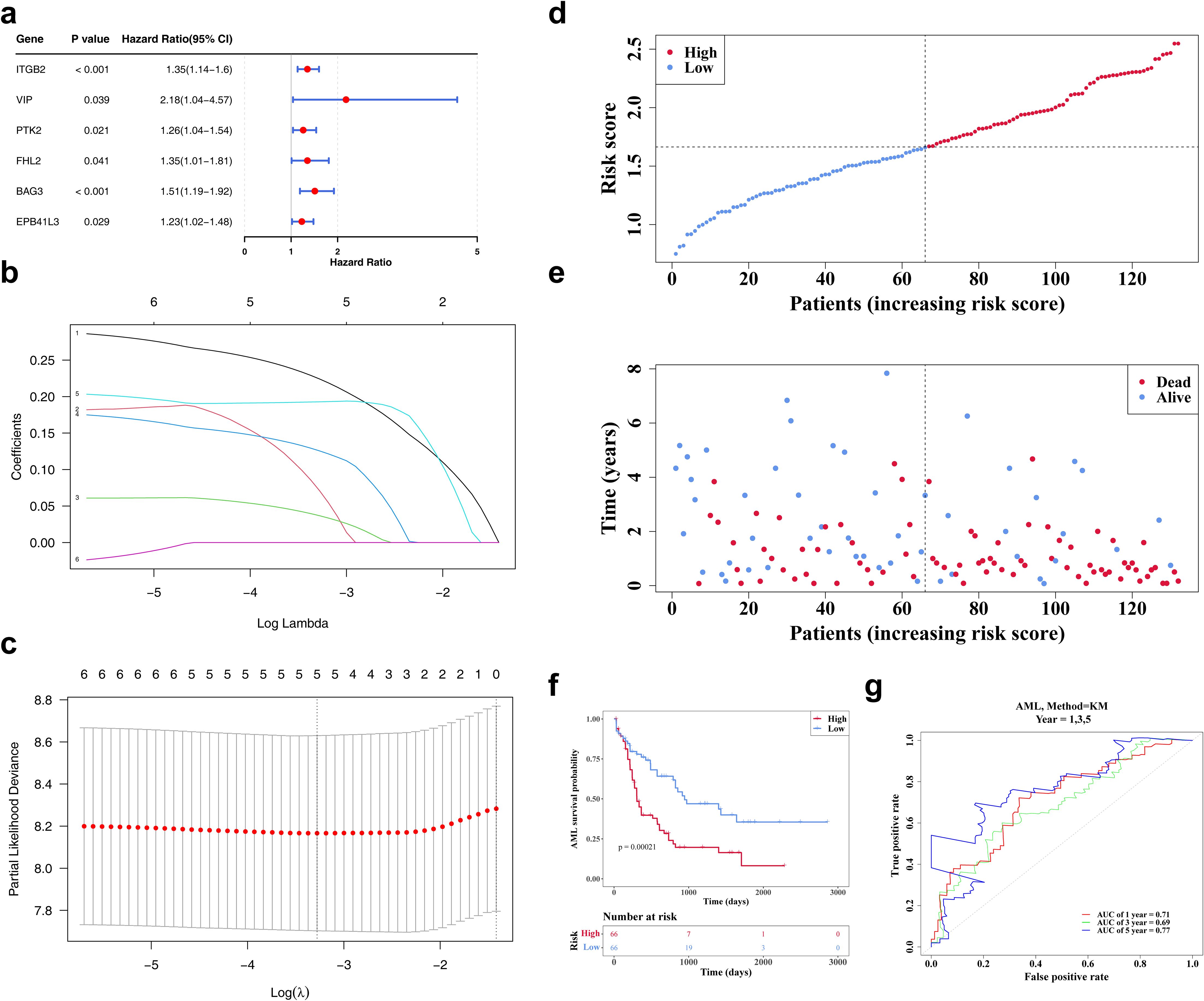 Panel of graphs evaluating gene-related risk factors for a medical study. a) Forest plot showing hazard ratios for genes ITGB2, VIP, PTK2, FHL2, BAG3, and EBP41L3. b) Line plot of coefficients against log lambda values. c) Plot of partial likelihood deviance versus log lambda. d) Scatter plot of risk scores for patients, differentiated by high and low scores. e) Scatter plot of patient survival time, categorized by status (alive or dead). f) Kaplan-Meier survival curve comparing high and low-risk groups. g) ROC curves showing AUC for one, three, and five years.