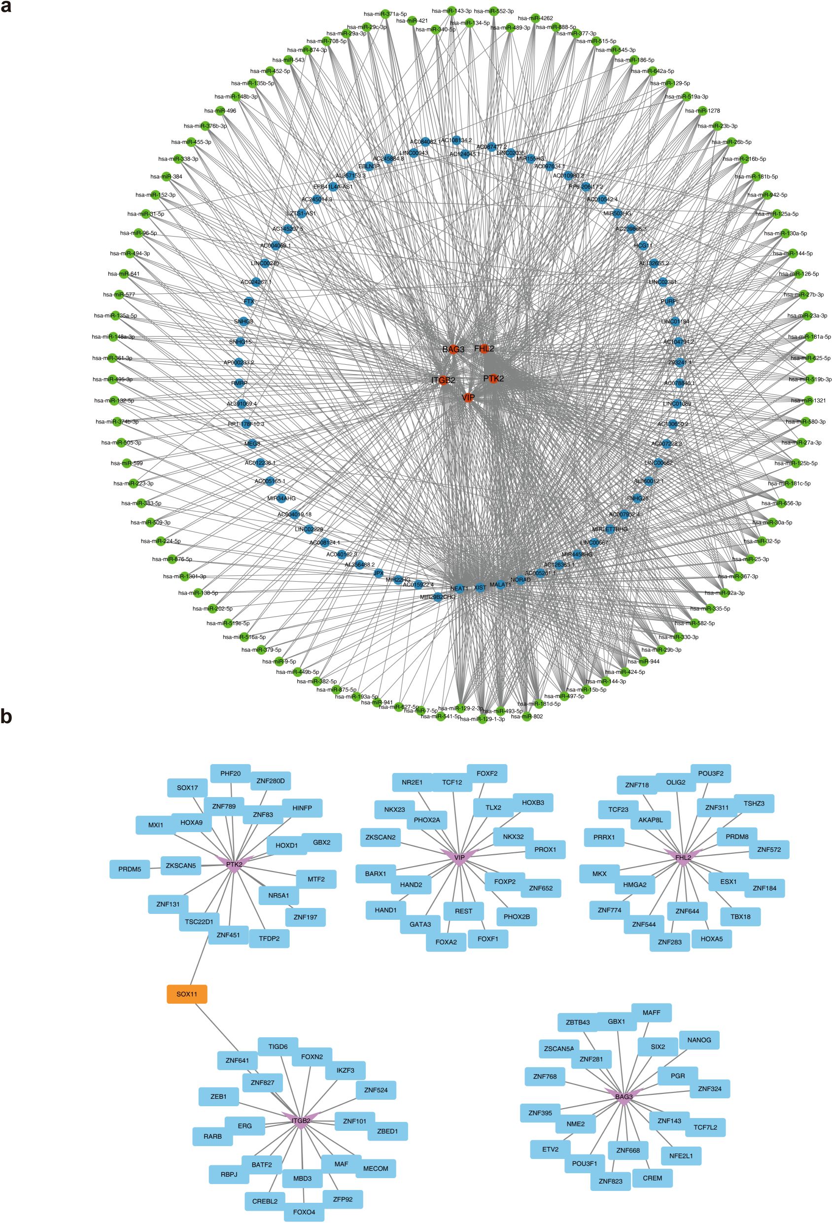 A two-part graphic showing complex network diagrams. Panel (a) depicts a circular network with interconnected nodes in green, blue, and red, illustrating relationships between various elements. Panel (b) features multiple clusters of nodes in blue and orange, connected by lines, representing a different set of relationships. Each node is labeled with text identifiers.