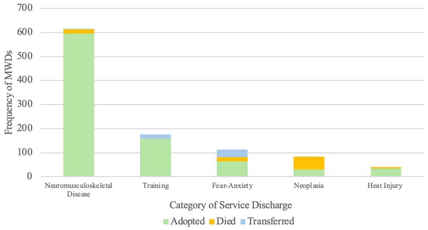 Bar chart displaying the frequency of military working dogs discharged by categories: neuromusculoskeletal disease, training, fear-anxiety, neoplasia, and heat injury. Neuromusculoskeletal disease is the highest with about 600 dogs, predominantly adopted. Training and fear-anxiety follow, with most adopted and some transferred. Neoplasia and heat injury have fewer cases, with some dogs adopted and a few deceased.