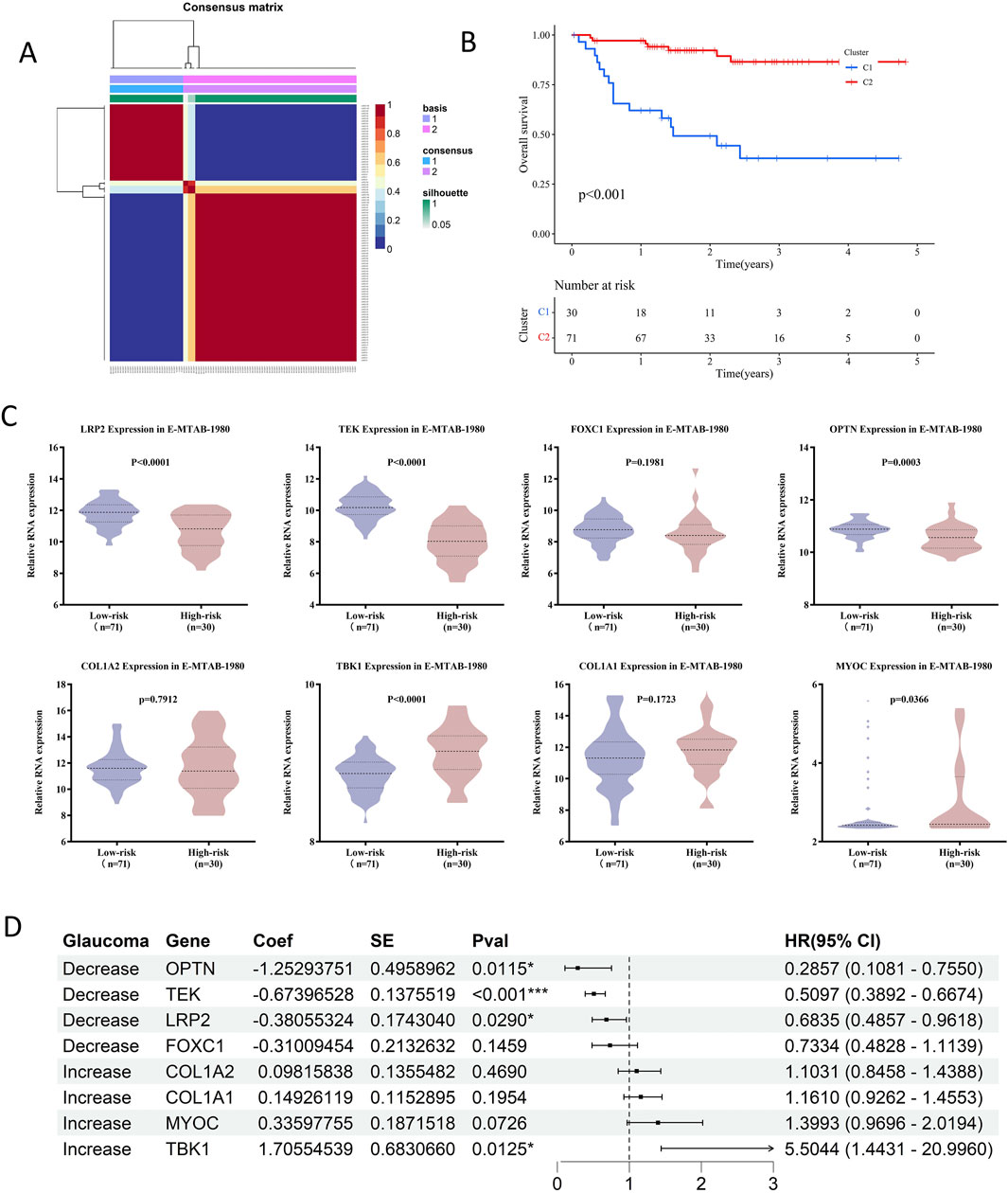 Panel A shows a consensus matrix heat map indicating clustering patterns. Panel B displays a Kaplan-Meier survival curve comparing two clusters, C1 and C2, with a significant p-value of less than 0.001. Panel C presents violin plots of gene expression levels for various genes, comparing low-risk and high-risk groups with p-values provided for each comparison. Panel D is a table listing genes associated with glaucoma, including coefficients, standard errors, p-values, and hazard ratios with confidence intervals, highlighting significant genes associated with decrease or increase in glaucoma risk.