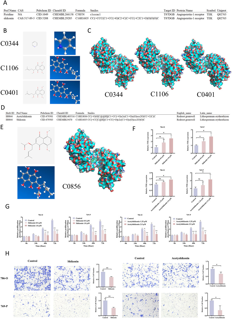 The image comprises several panels labeled A through H, showcasing various chemical, structural, and biological analyses. Panel A provides tabulated chemical information on pyridine and shikonin. Panel B displays structural representations of compounds C0344, C1106, and C0401. Panel C presents 3D molecular structures of the same compounds. Panel D includes chemical data on acetylshikonin and shikonin. Panel E shows the structure and 3D model of compound C0856. Panels F and G feature bar graphs analyzing TEK expression and relative proliferation in cell lines 786-O and 769-P under different treatments. Panel H shows microscopy images with bar graphs detailing cell viability and number in treated and control groups.