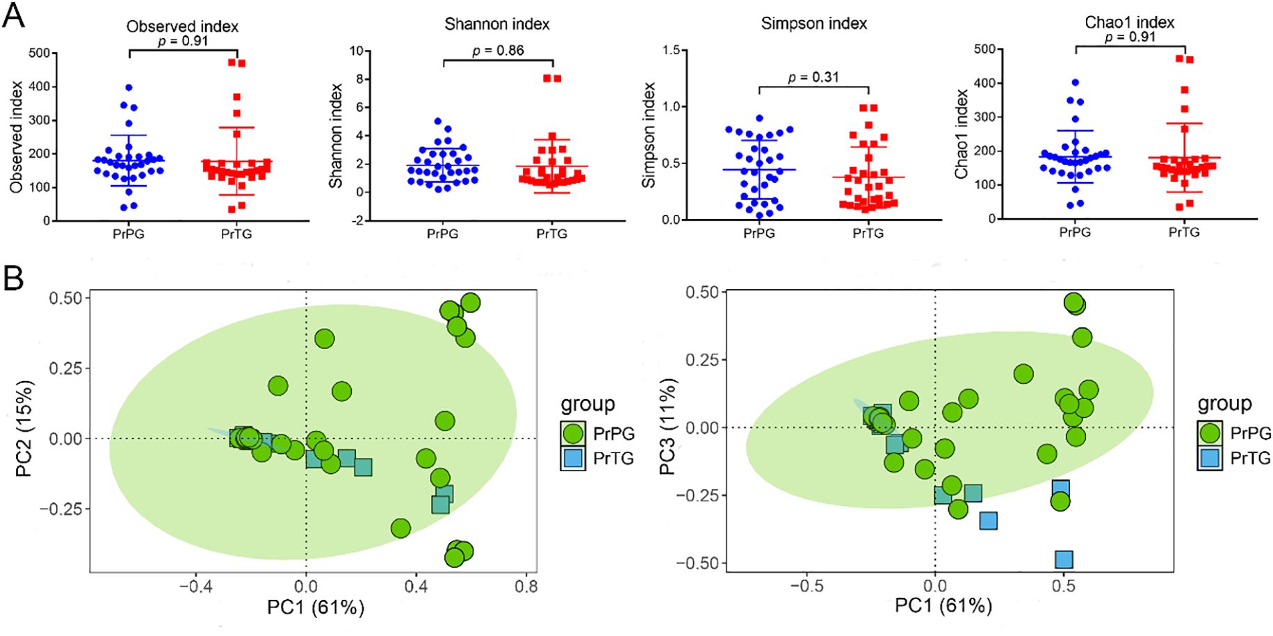 Panel A features scatter plots comparing indices between groups PrPG and PrTG. Each index, including Observed, Shannon, Simpson, and Chao1, shows similar distributions with non-significant p-values. Panel B presents Principal Component Analysis plots. The left plot compares PC1 and PC2, and the right compares PC1 and PC3. Green circles represent PrPG and blue squares represent PrTG, displaying overlapping data points within green ellipses for both analyses.