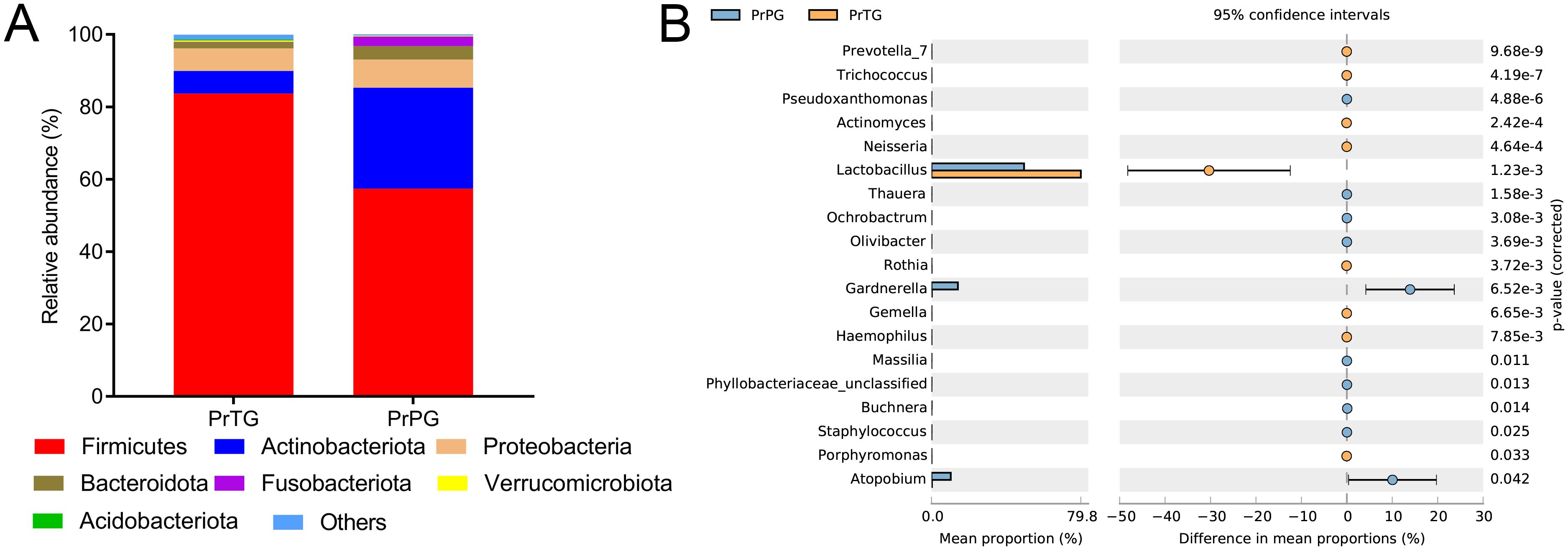 Panel A displays a bar chart comparing relative abundances of bacterial phyla between two groups, PrTG and PrPG. Panel B presents a dot plot of mean proportions and confidence intervals for various bacterial genera in PrPG and PrTG, with statistical significance marked by p-values.