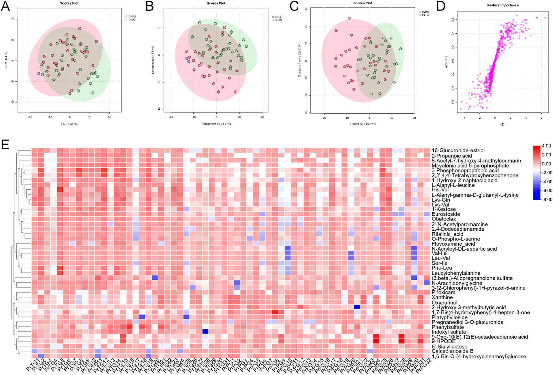 Four distinct graphs labeled A, B, C, and D display scores plots with pink and green overlapping areas, highlighting data points marked as PNEG and PITG. Graph D is a scatter plot showing feature importance with a dense cluster of magenta points. Beneath the graphs is a heatmap labeled E displaying a color gradient from red to blue, representing varying intensities of metabolite levels, with metabolite names listed on the right.