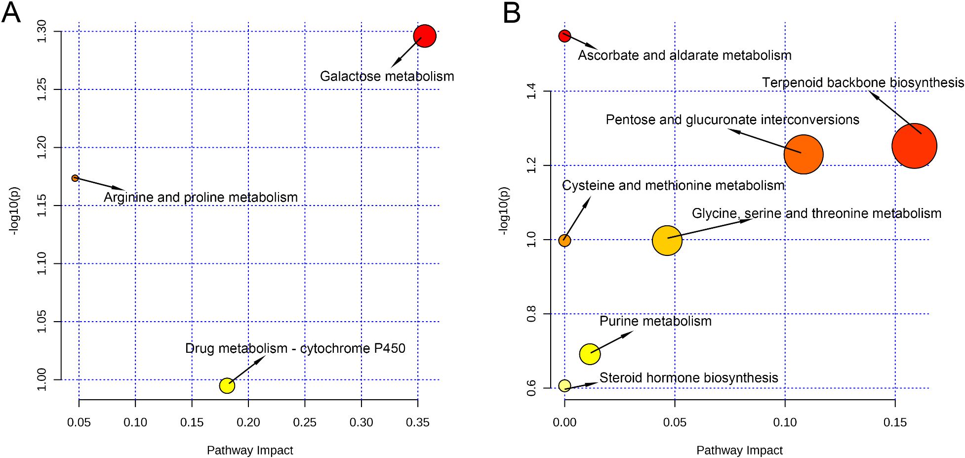 Two pathway analysis bubble plots labeled A and B. Plot A shows “Arginine and proline metabolism” and “Galactose metabolism.” Plot B includes pathways like “Ascorbate and aldarate metabolism,” “Pentose and glucuronate interconversions,” “Glycine, serine and threonine metabolism,” and others. Both plots have axes for Pathway Impact and -log10(p).