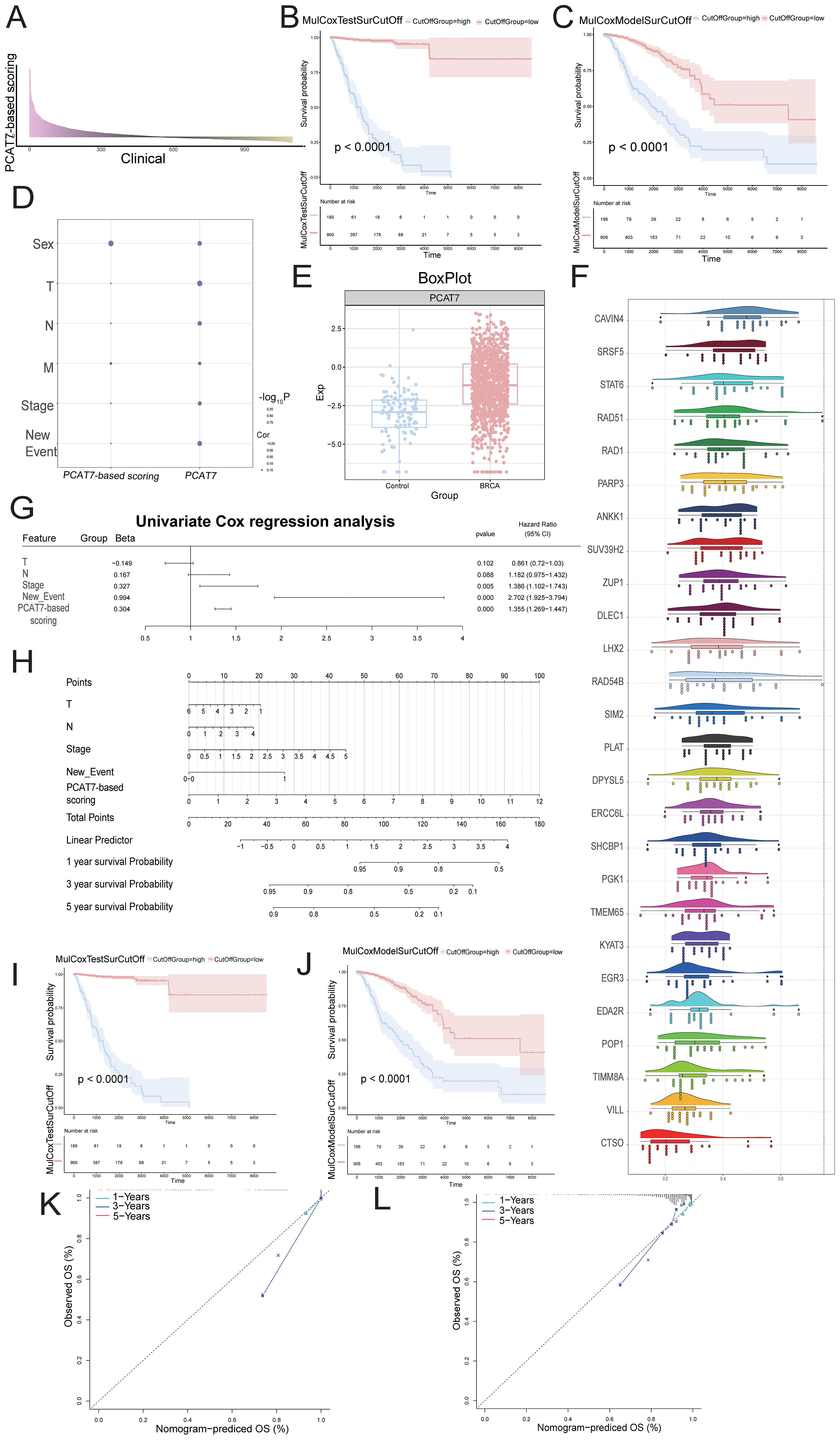 A series of charts and graphs analyzing clinical and genomic data. Chart A shows PCAT7-based scoring distribution. B and C show Kaplan-Meier survival curves with significant differences between high and low groups. D presents a dot plot comparing clinical features. E is a box plot comparing expression levels of PCAT7 in control versus BRCA groups. F features multiple colored violin plots of gene expression. G is a univariate Cox regression analysis table. H displays a nomogram for survival probability prediction. I and J replicate Kaplan-Meier curves. K and L are calibration plots comparing observed versus predicted overall survival.