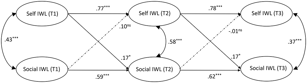 Path analysis diagram showing interrelations between self-based informal workplace learning (IWL) and social-based IWL across three time points: T1, T2, and T3. Arrows indicate direction and strength of relationships, with coefficients marked on the arrows. Significant paths are highlighted with asterisks, while non-significant paths are labeled with “ns”. Self-based and social-based IWL at each time point are linked over time: Self-based IWL shows positive time-lagged links with social-based IWL, but social-based IWL does not show significant time-lagged links with self-based IWL.