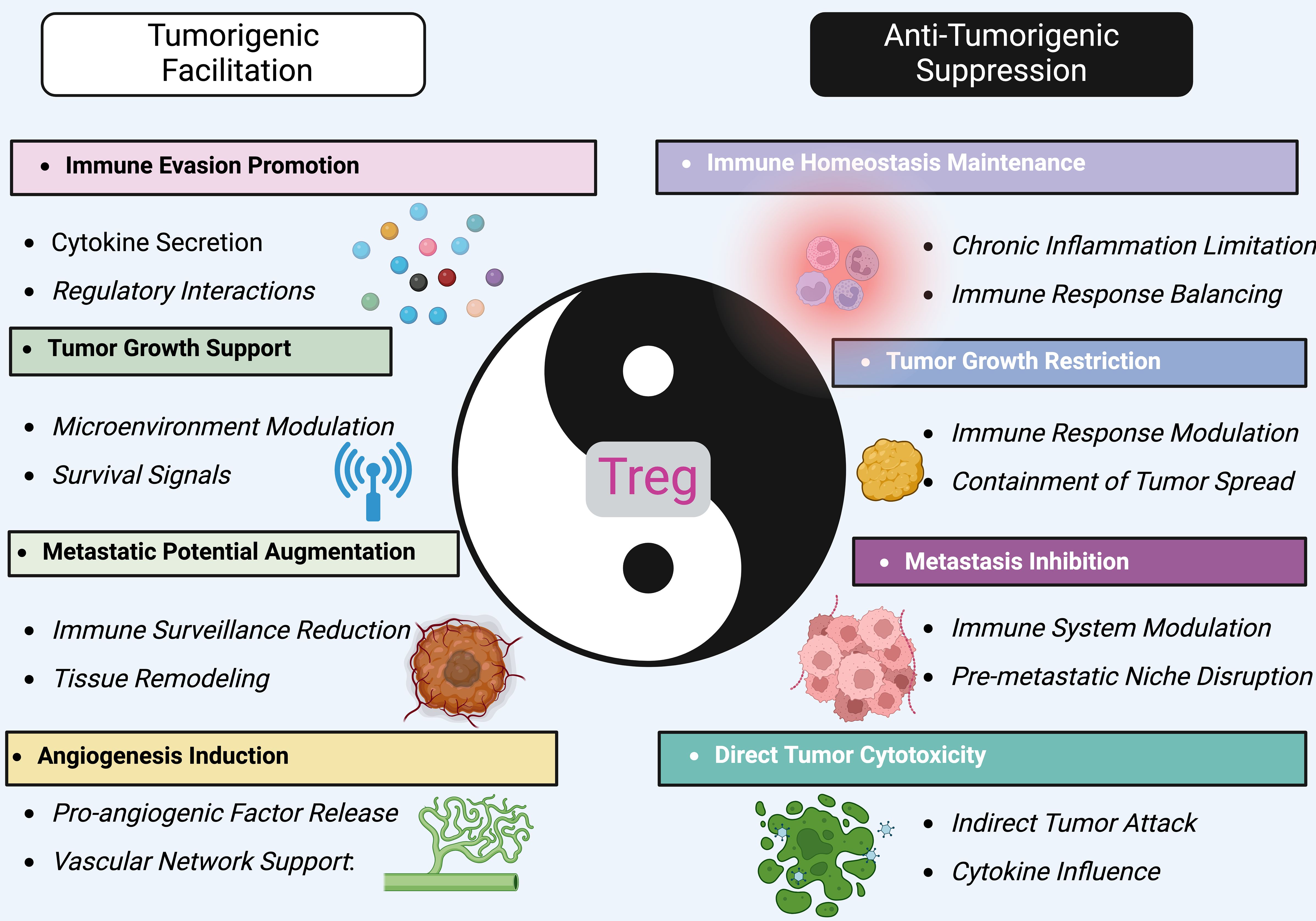 Diagram showing the dual role of Treg in tumorigenesis. On the left, “Tumorigenic Facilitation” includes immune evasion, tumor growth support, metastatic potential augmentation, and angiogenesis induction. On the right, “Anti-Tumorigenic Suppression” covers immune homeostasis, tumor growth restriction, metastasis inhibition, and direct tumor cytotoxicity. In the center is a yin-yang symbol with “Treg” indicated. Visual elements represent various biological processes.