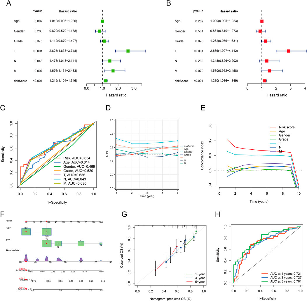 Eight panels depict graphs and charts related to hazard ratios and predictive models. Panel A: Forest plot illustrating hazard ratios for factors including age, gender, grade, T, N, M, and risk score with significance values. Panel B: Another forest plot showing different hazard ratios and p-values for similar variables as Panel A.Panel C: ROC curve comparing sensitivity and 1-specificity for various factors like risk, age, and gender, with AUC values.Panel D: Line chart displaying AUC over five years for different factors.Panel E: Line graph of concordance index over ten years for the same variables.Panel F: Nomogram indicating points for calculating total score linked to overall survival probability.Panel G: Calibration plot comparing predicted and observed overall survival at different years.Panel H: ROC curves showing AUCs for overall survival at one, three, and five years.