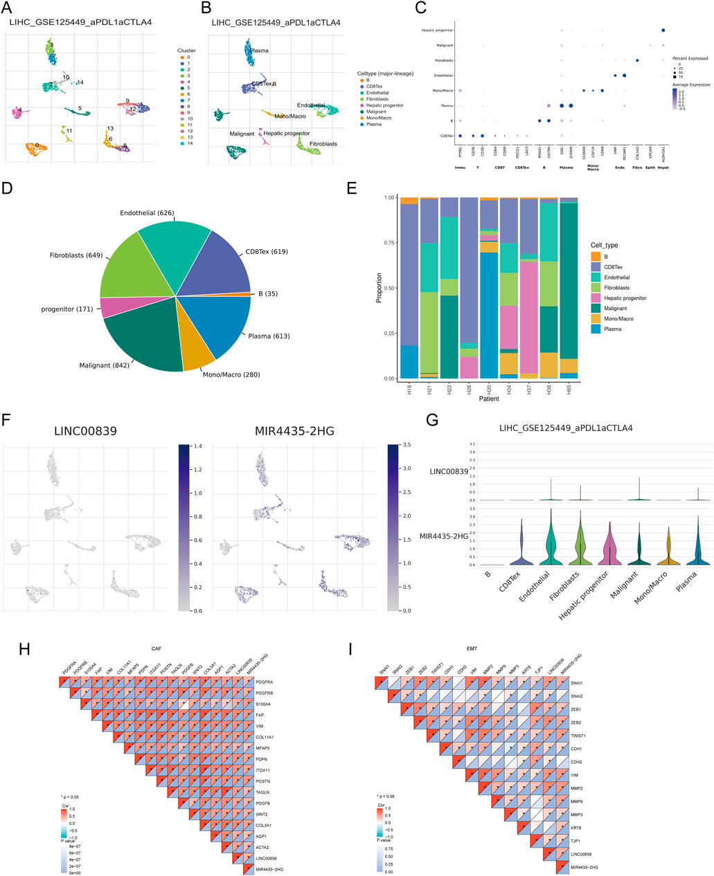 A composite image includes several panels displaying various data visualizations related to cell types in liver cancer research. A and B: Two scatter plots showing cell clusters colored by type and group.C: A bubble plot illustrating gene expression levels across cell types.D: A pie chart representing the proportion of different cell types, with malignant cells forming the largest segment.E: A stacked bar chart showing cell type proportions in different patient samples.F: Two scatter plots for gene expressions LINC00839 and MIR4435-2HG.G: Violin plots showing expression levels of two genes across cell types.H and I: Triangular correlation heatmaps for CAF and EMT features.Each panel presents detailed cell and gene expression data.